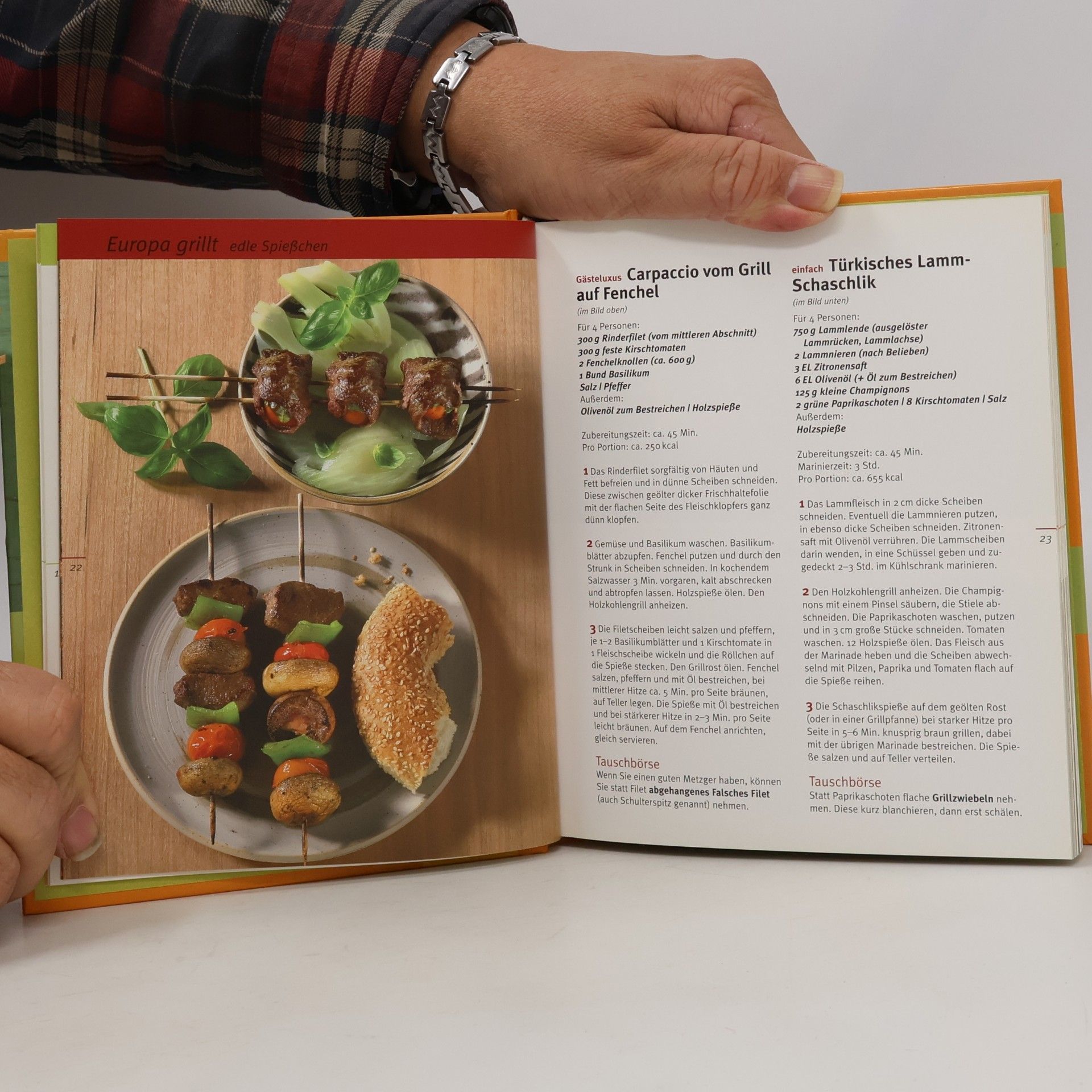 Autores varios Grillen und Picknick
