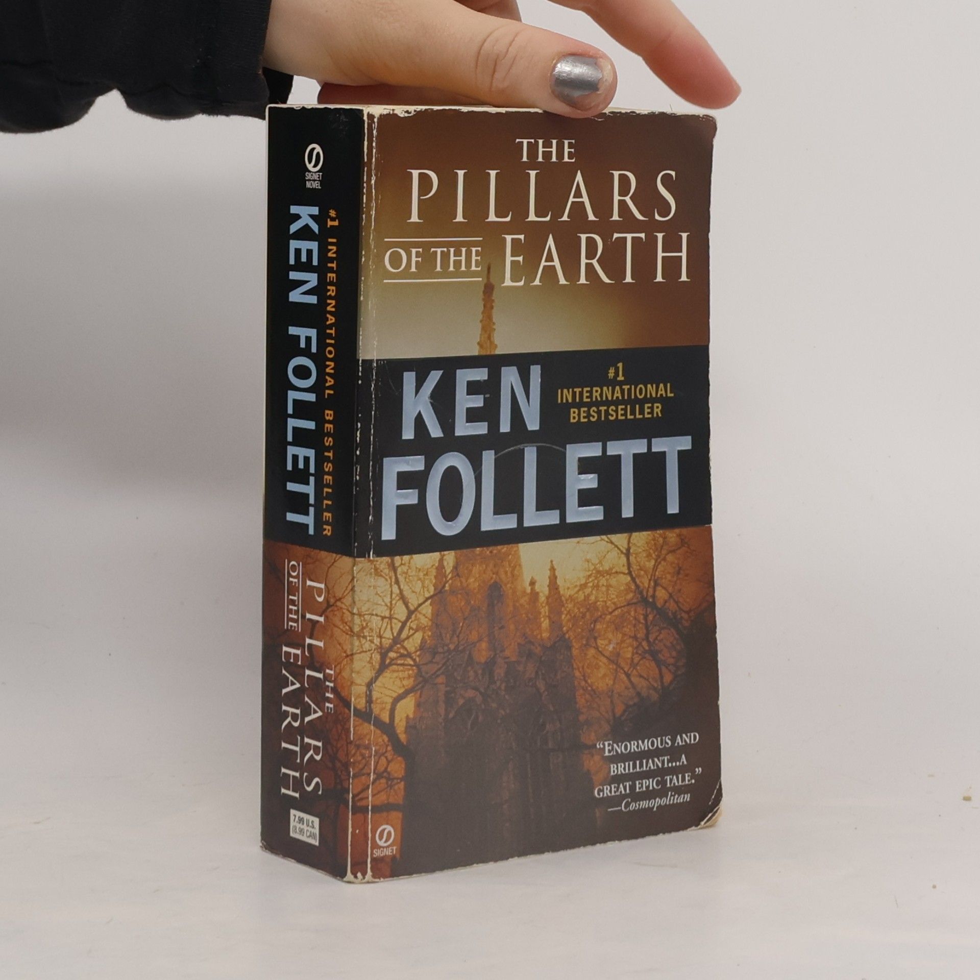 The Pillars of the Earth