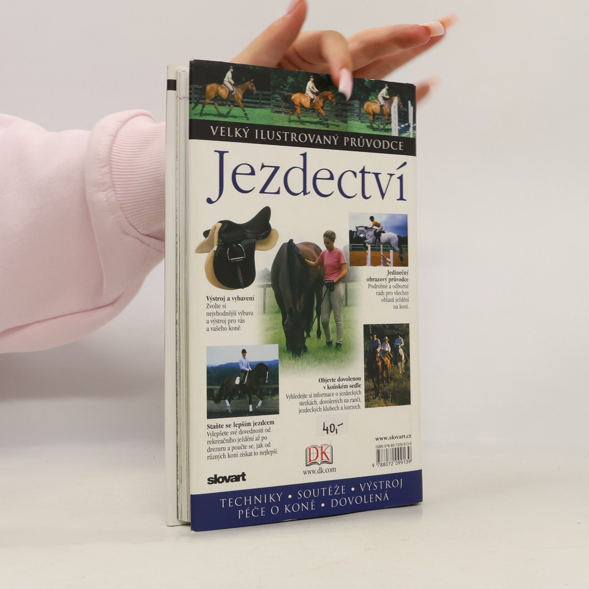 Lis Clegg Jezdectví