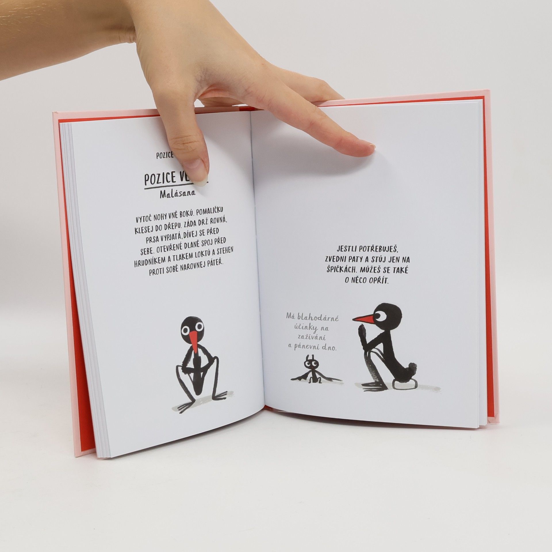 Marion Deuchars Jóga pro ztuhlá ptáčata