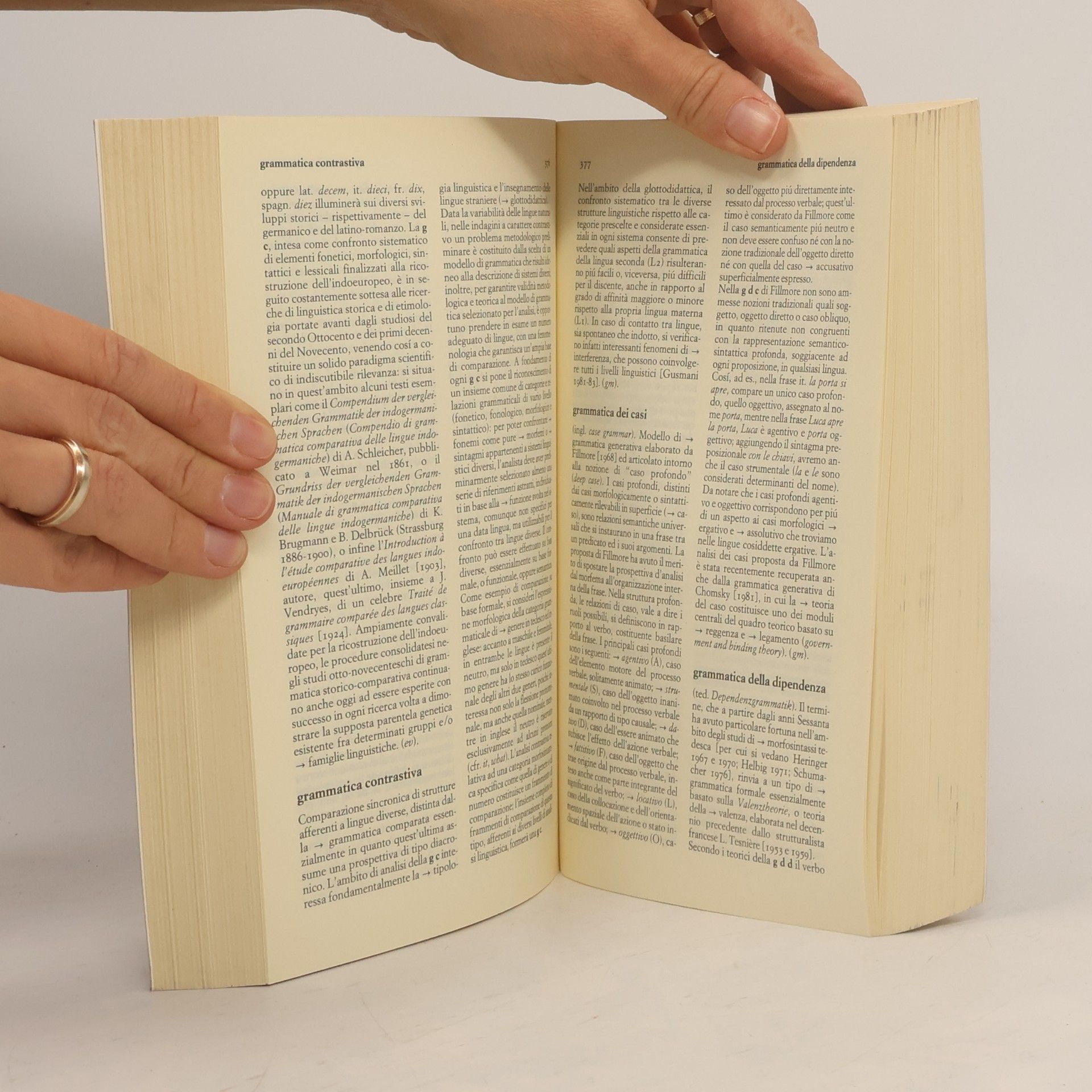 Gian Luigi Beccaria Piccola biblioteca Einaudi - 280: Dizionario di linguistica e di filologia, metrica, retorica - Nuova edizione