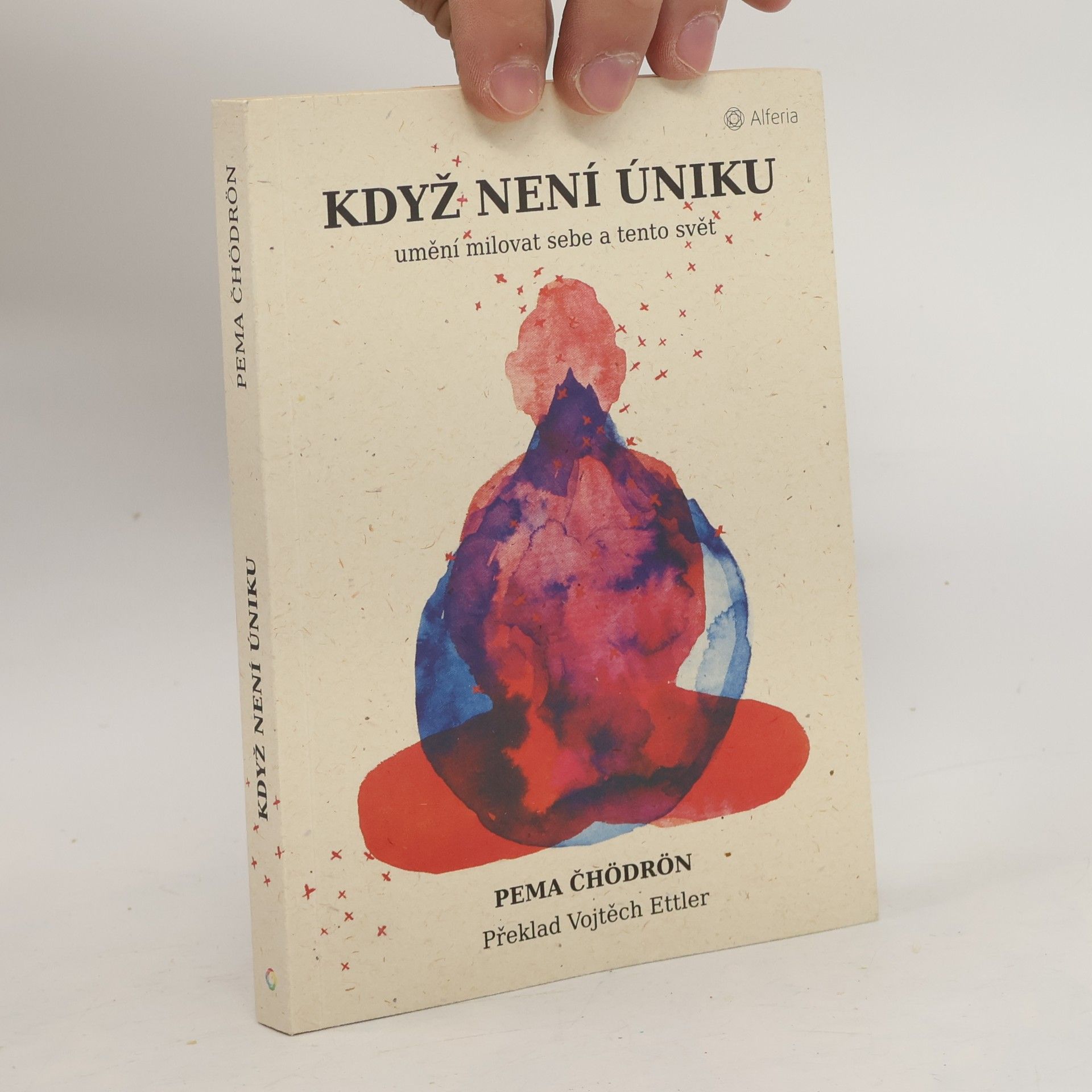 Pema Chödrön Když není úniku: Umění milovat sebe a tento svět