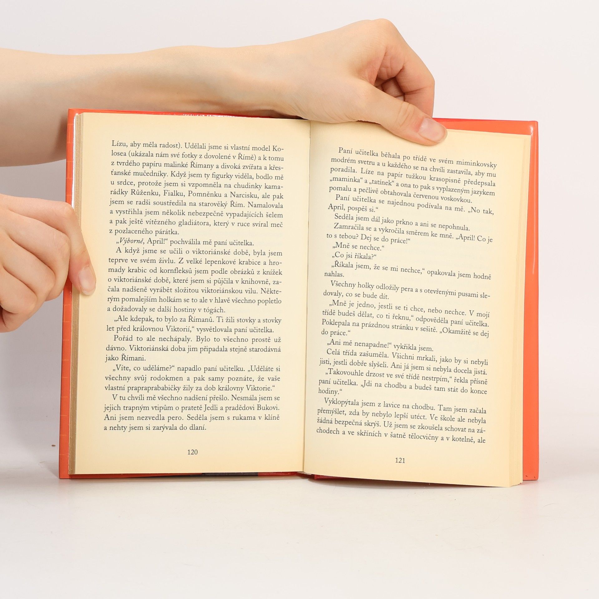 Jacqueline Wilson Holka z popelnice