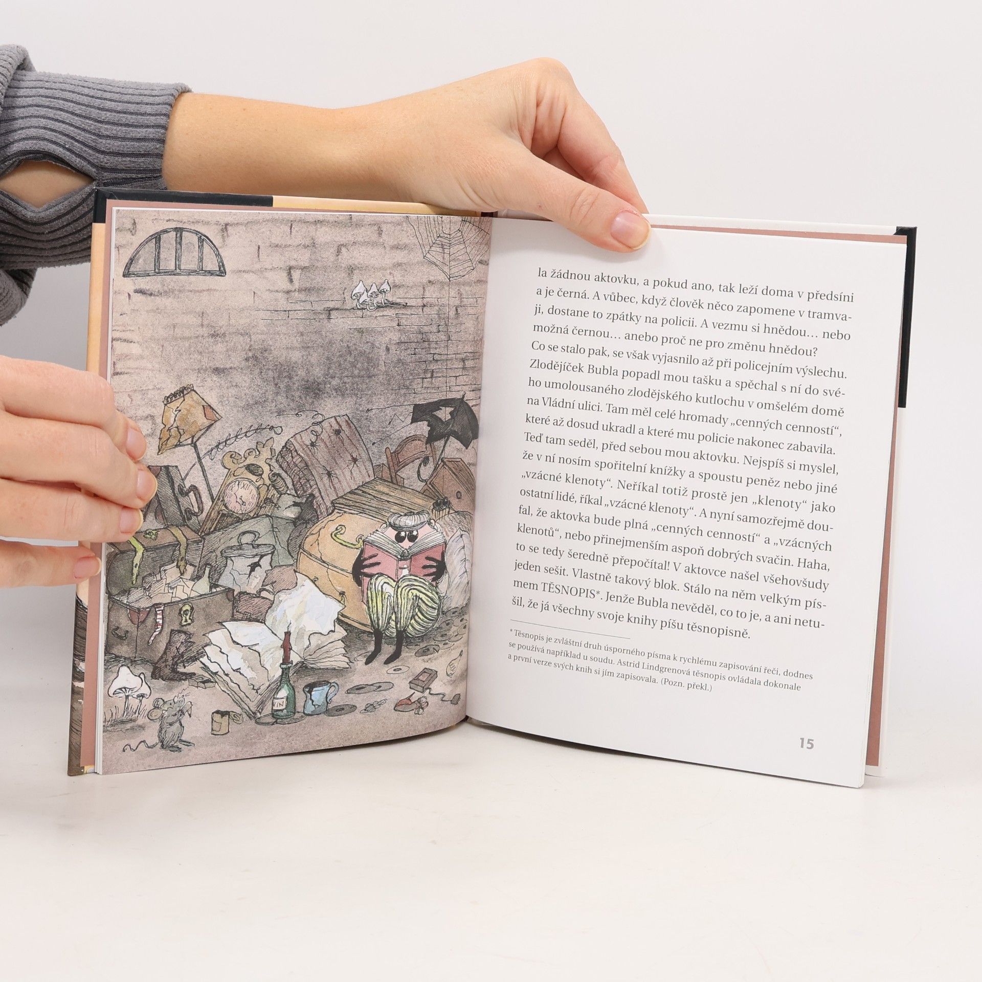 Astrid Lindgren Zlodějíček Bubla