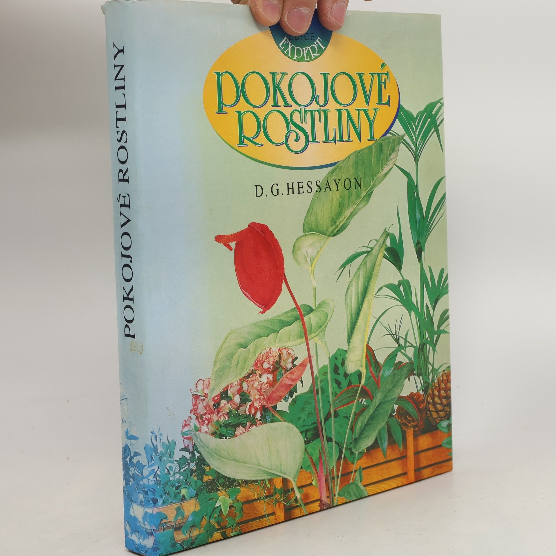 Pokojové rostliny