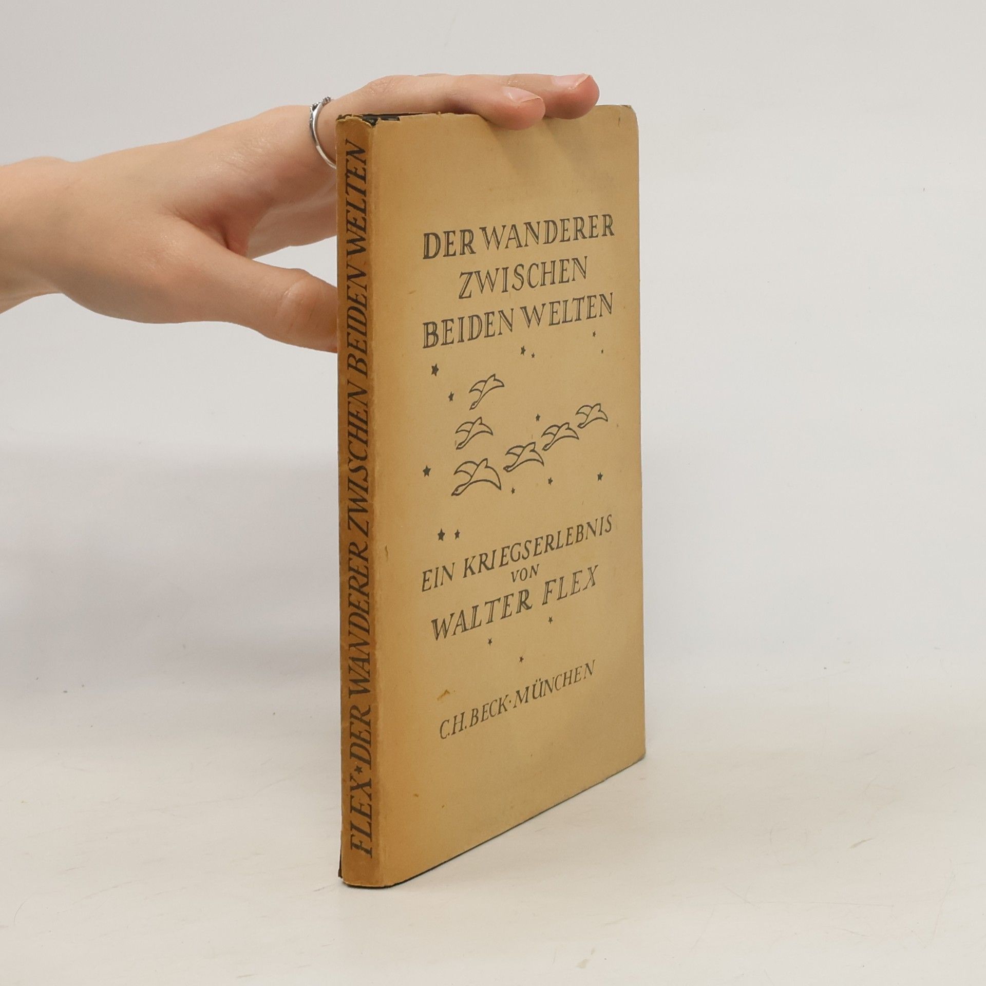 Der Wanderer zwischen beiden Welten