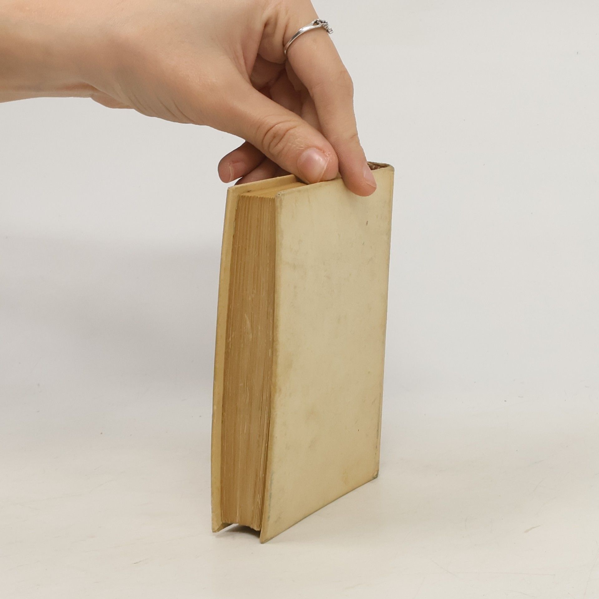 Kolektiv autorů Frauenzimmer Almanach