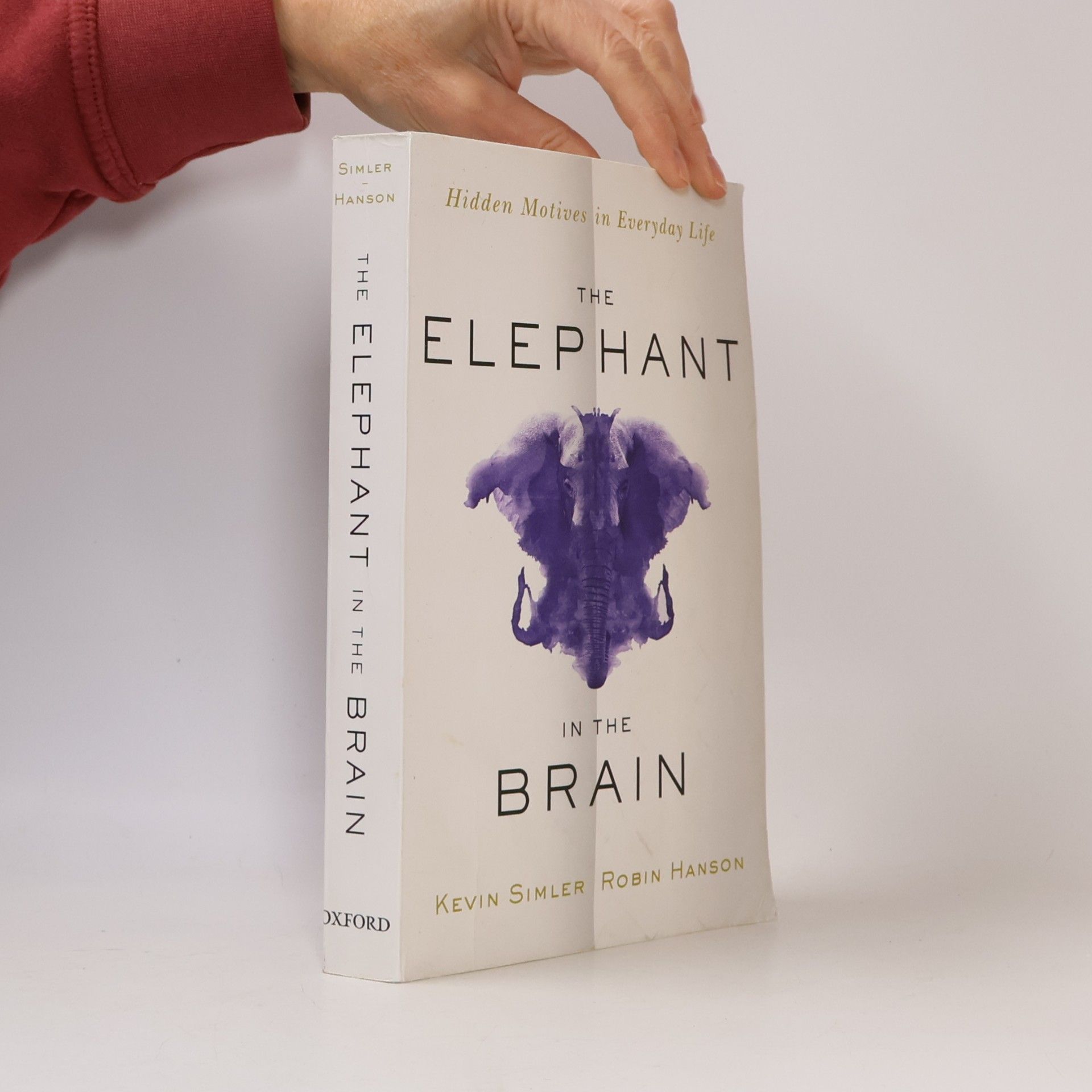 The Elephant in the Brain