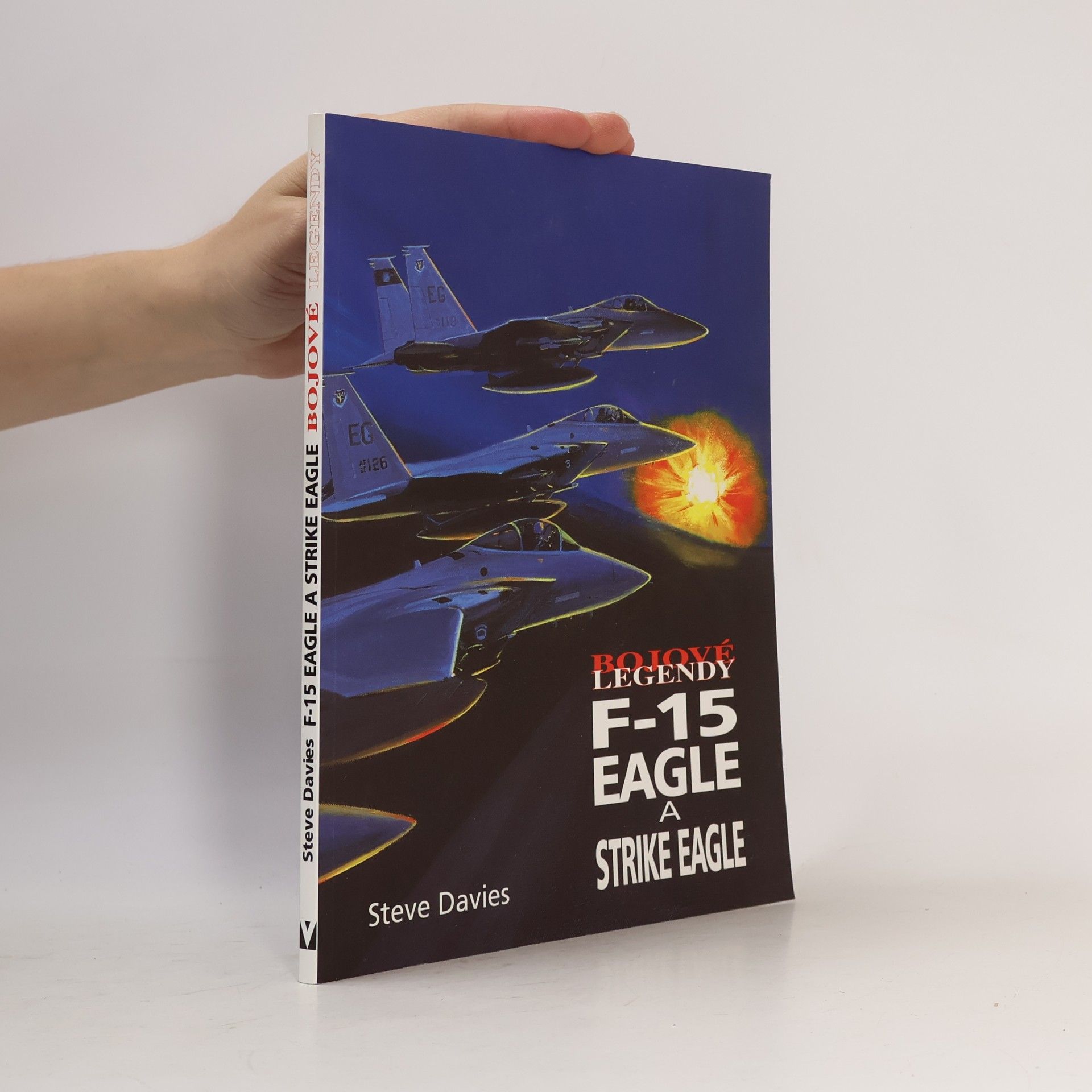 Steve Davies F-15 Eagle a Strike Eagle