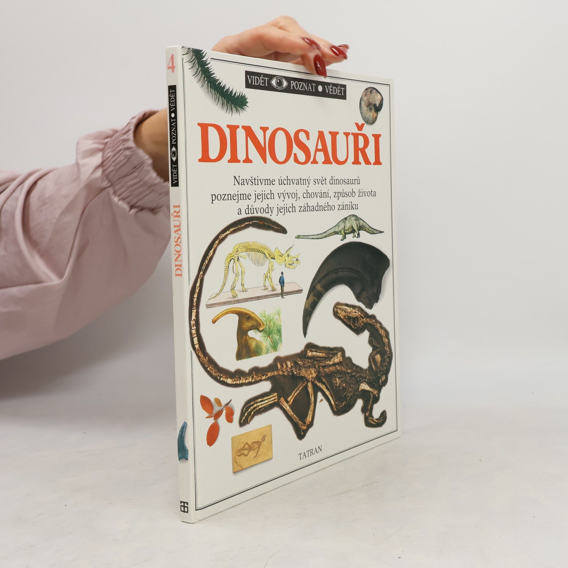 Dinosauři