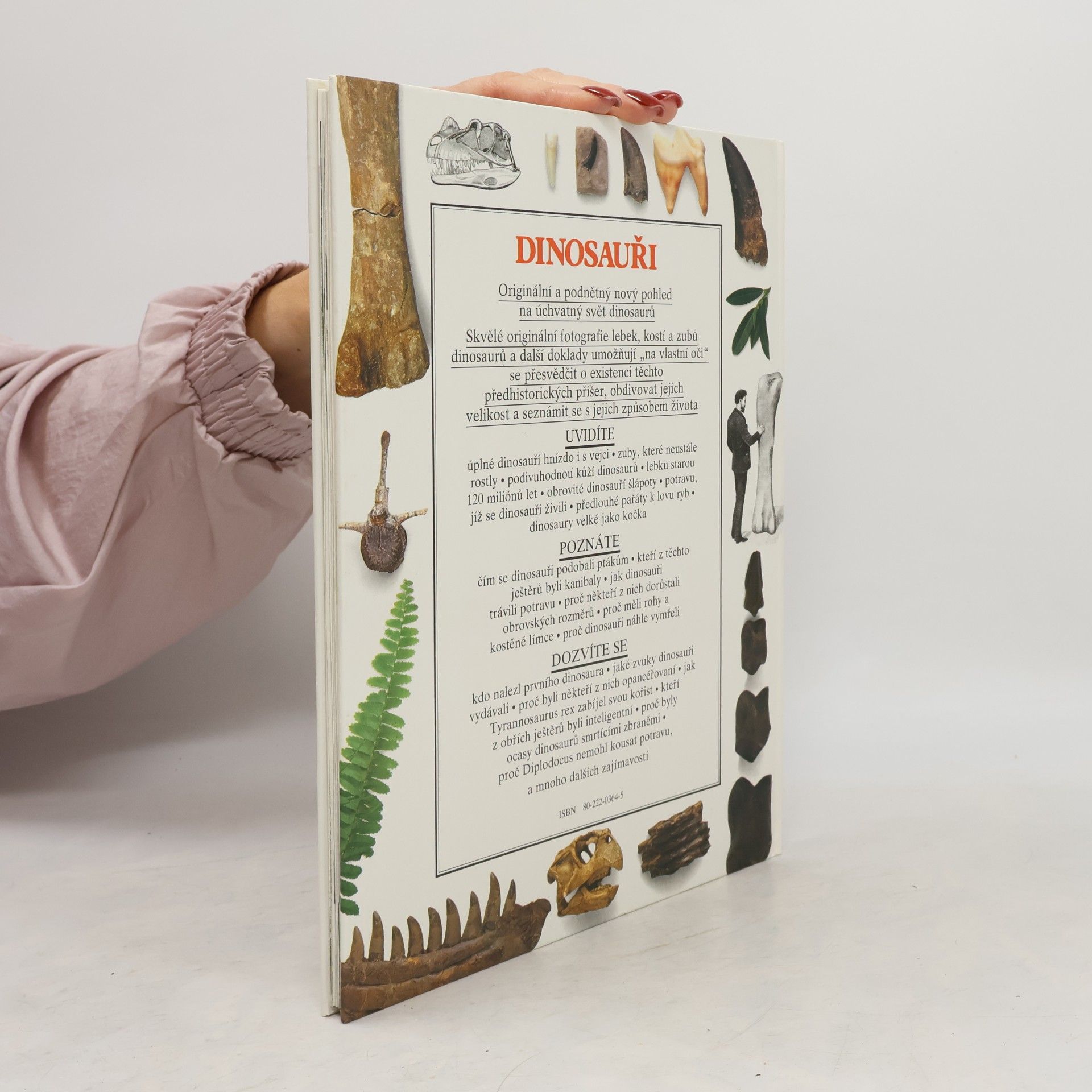 Collectif d'auteurs Dinosauři