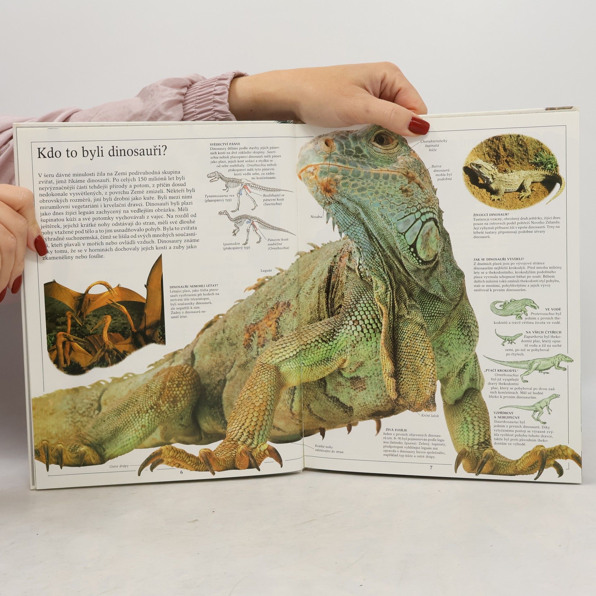 Collectif d'auteurs Dinosauři