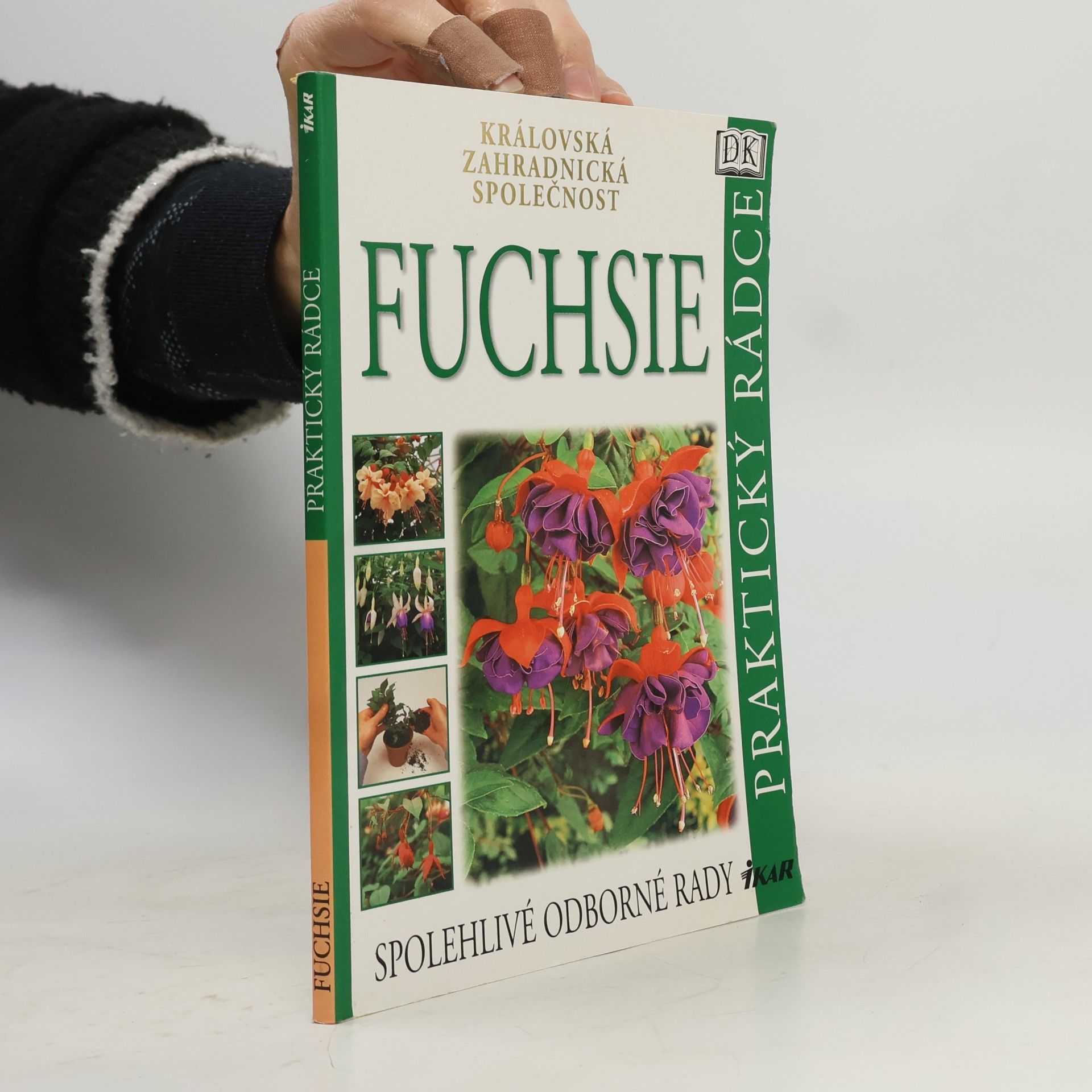 Fuchsie