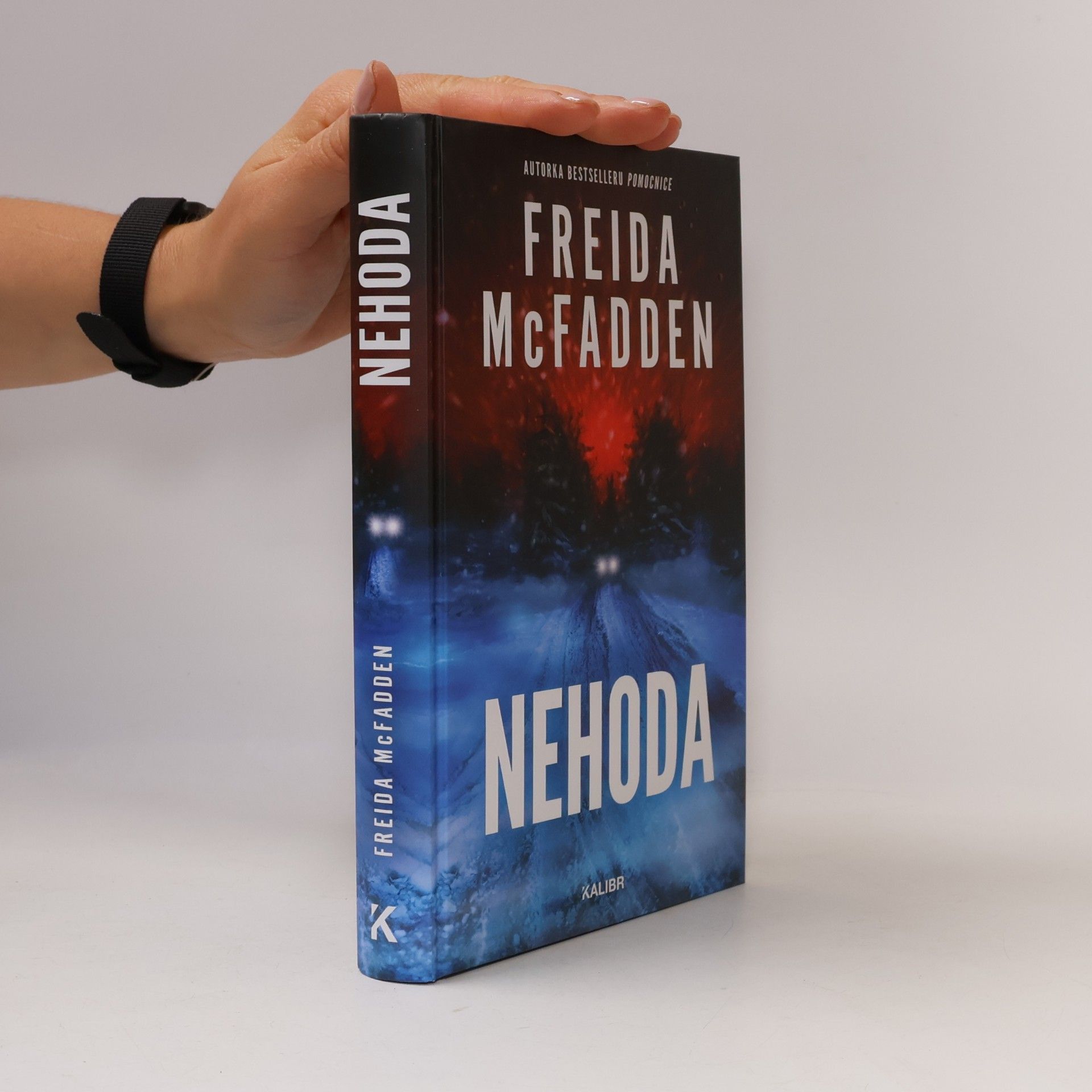 Freida McFadden Nehoda