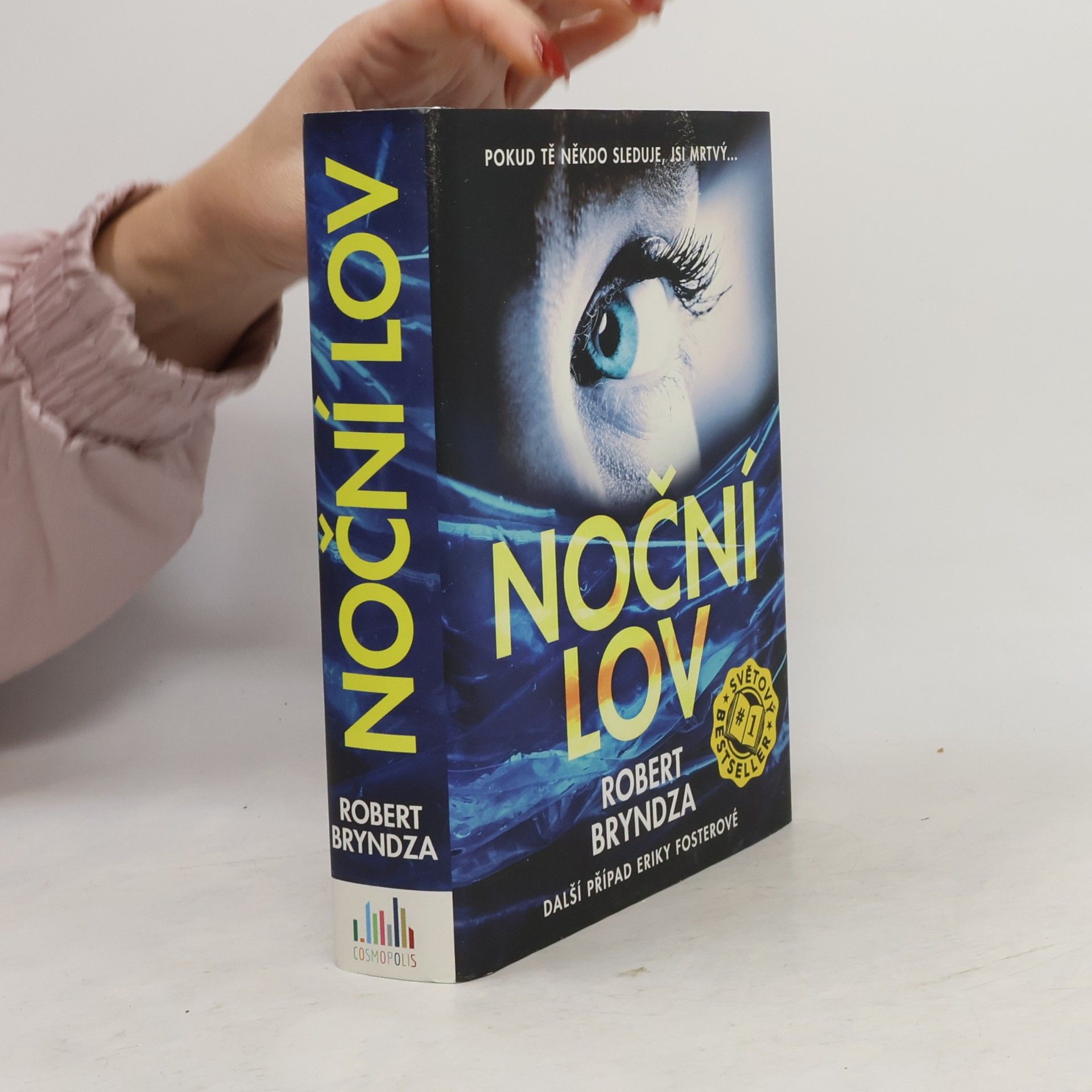 Robert Bryndza Noční lov