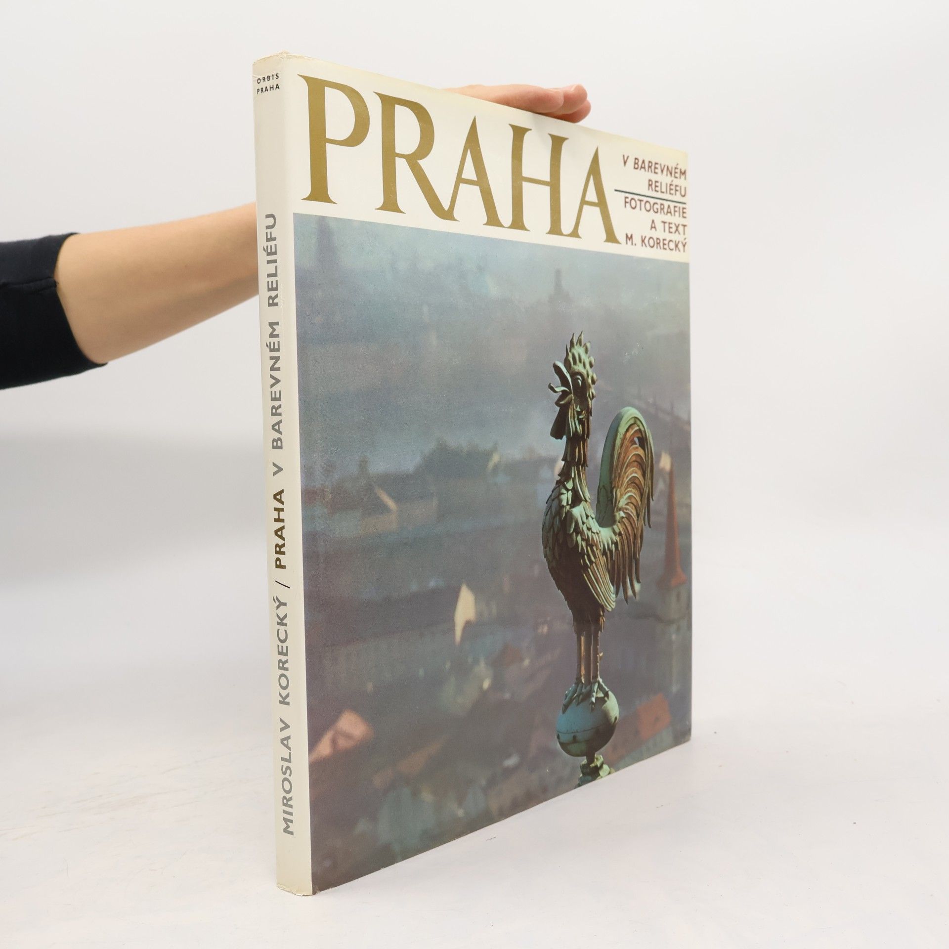 Praha v barevném reliéfu