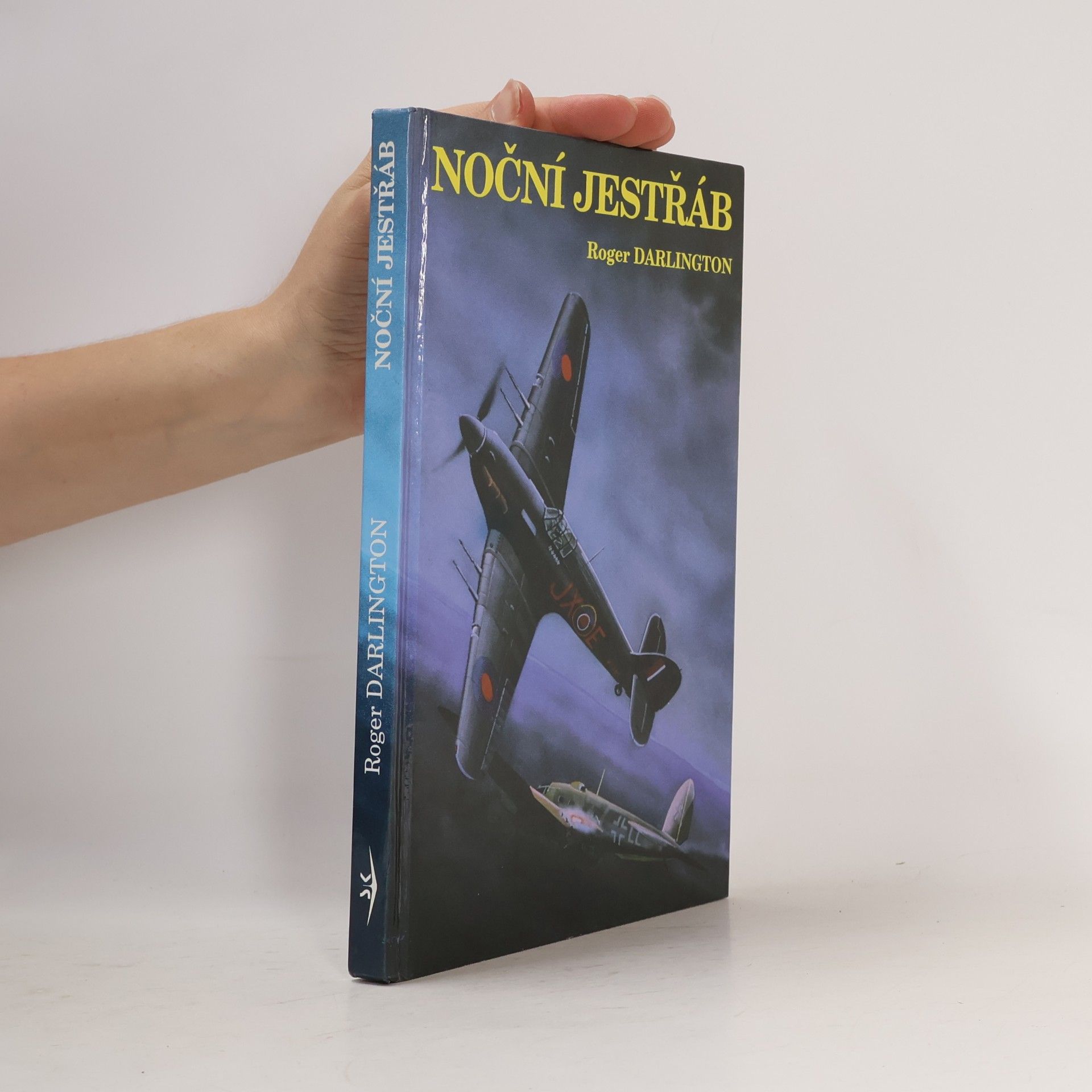 Milan Kocourek Noční jestřáb