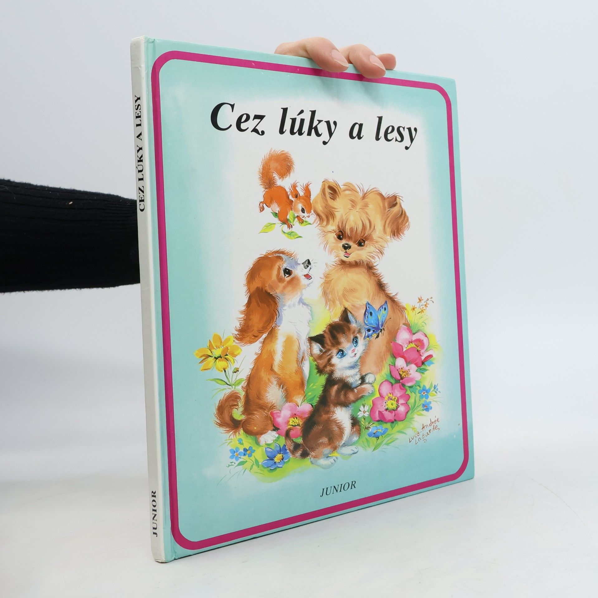 Cez lúky a lesy