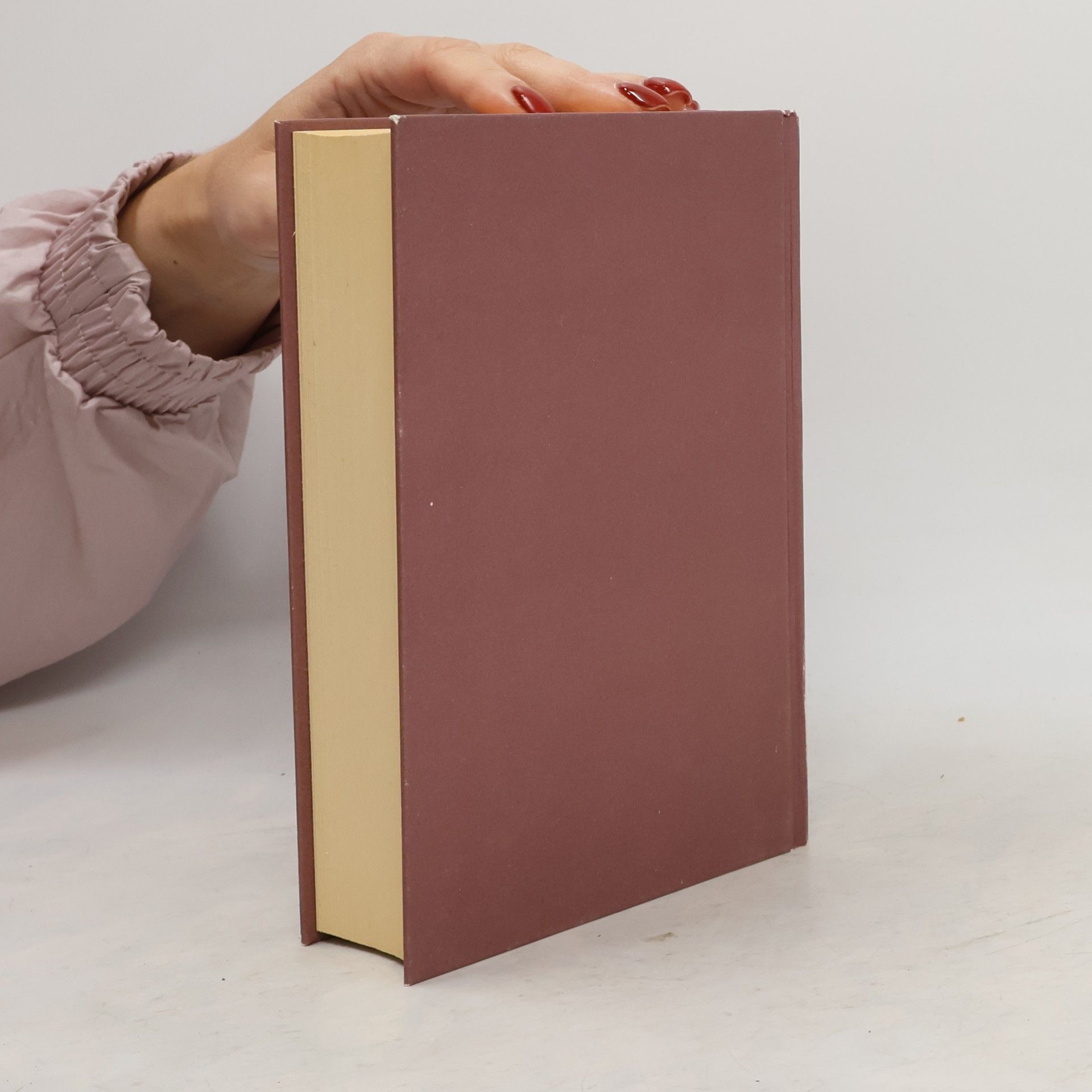 Denis Johnson Sloupové dýmu