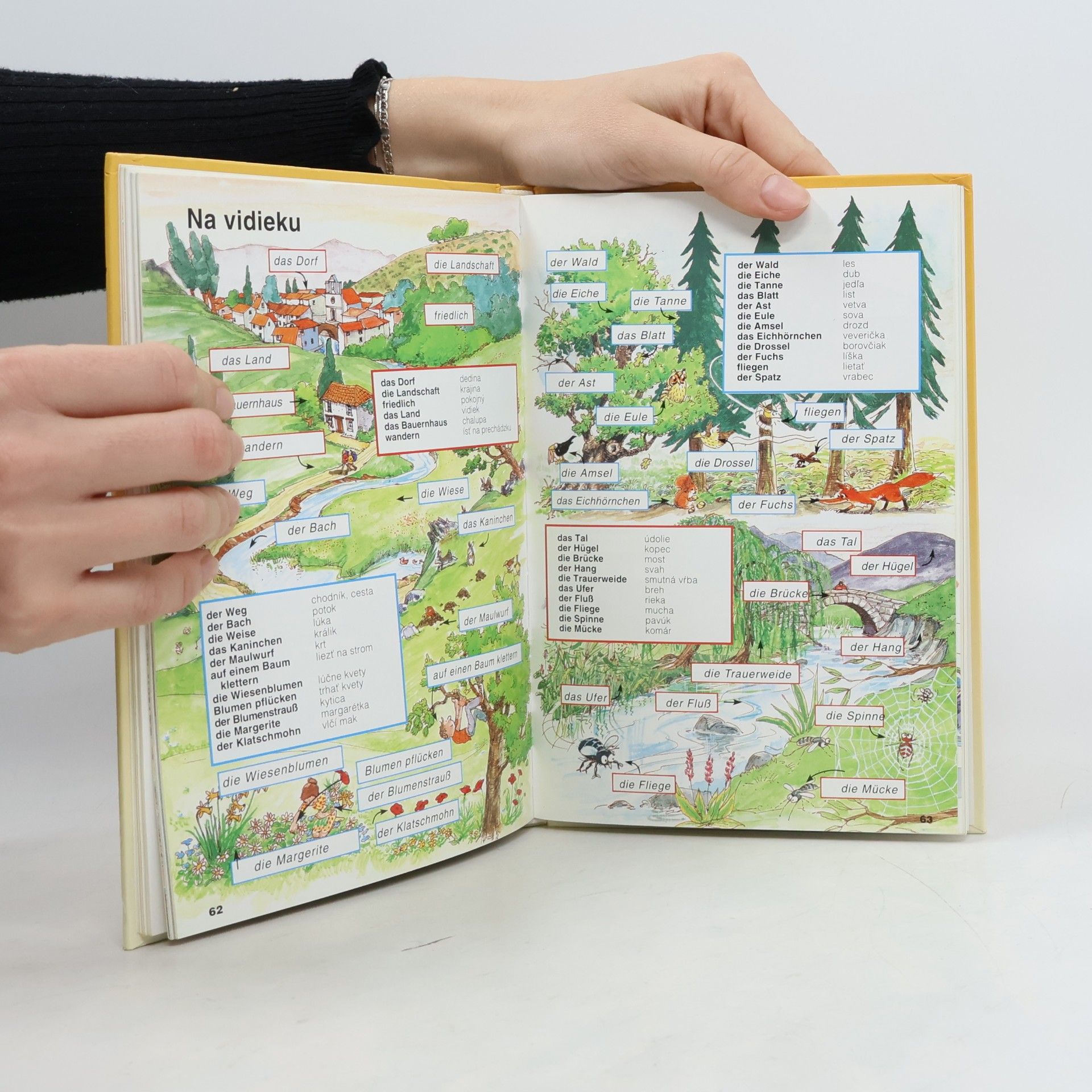 Autores varios Obrázkový nemecko-slovenský slovník