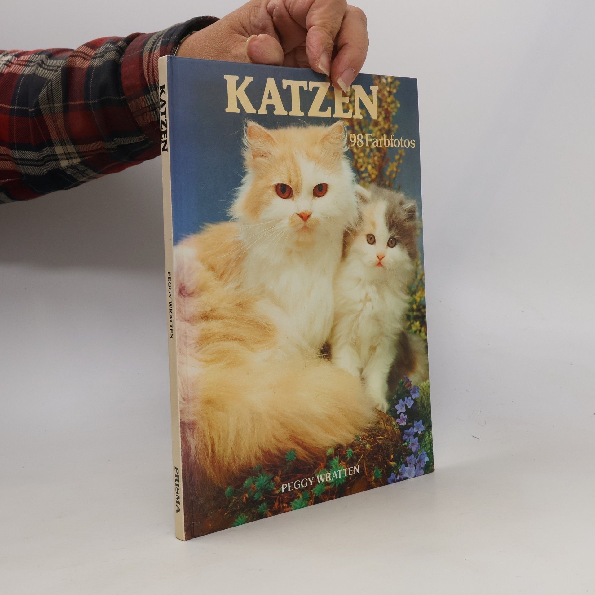 Katzen