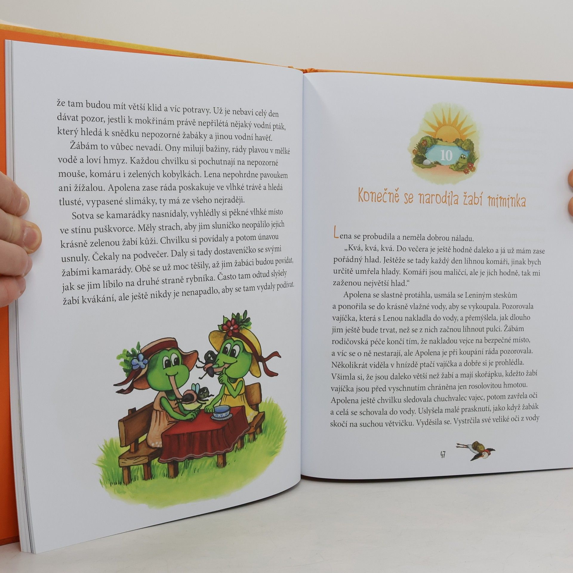 Zdeňka Šiborová Čáp Čenda - Pohádky od Kuňkavého rybníka