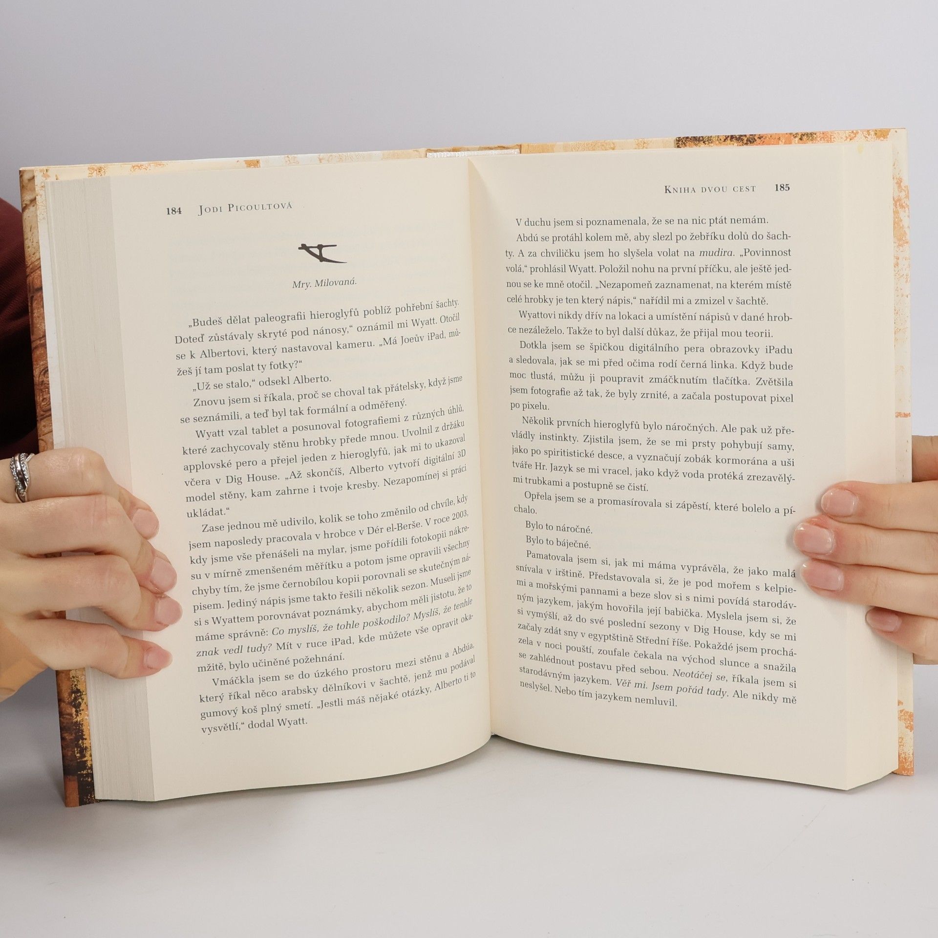 Jodi Picoult Kniha dvou cest