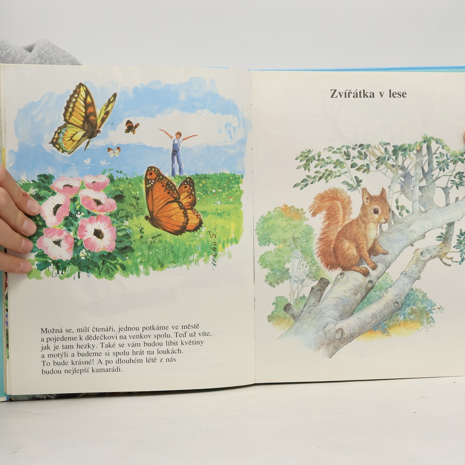 Various authors Zvířátka jsou naši přátelé