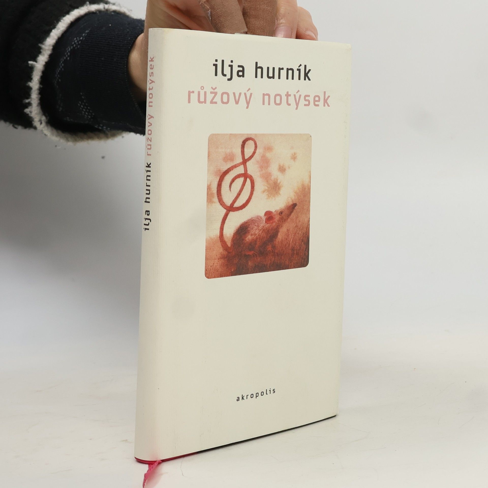 Ilja Hurník Růžový notýsek