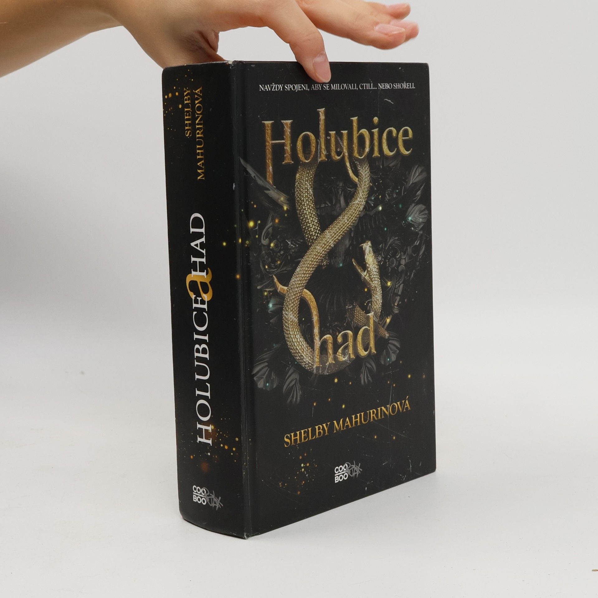 Holubice a had