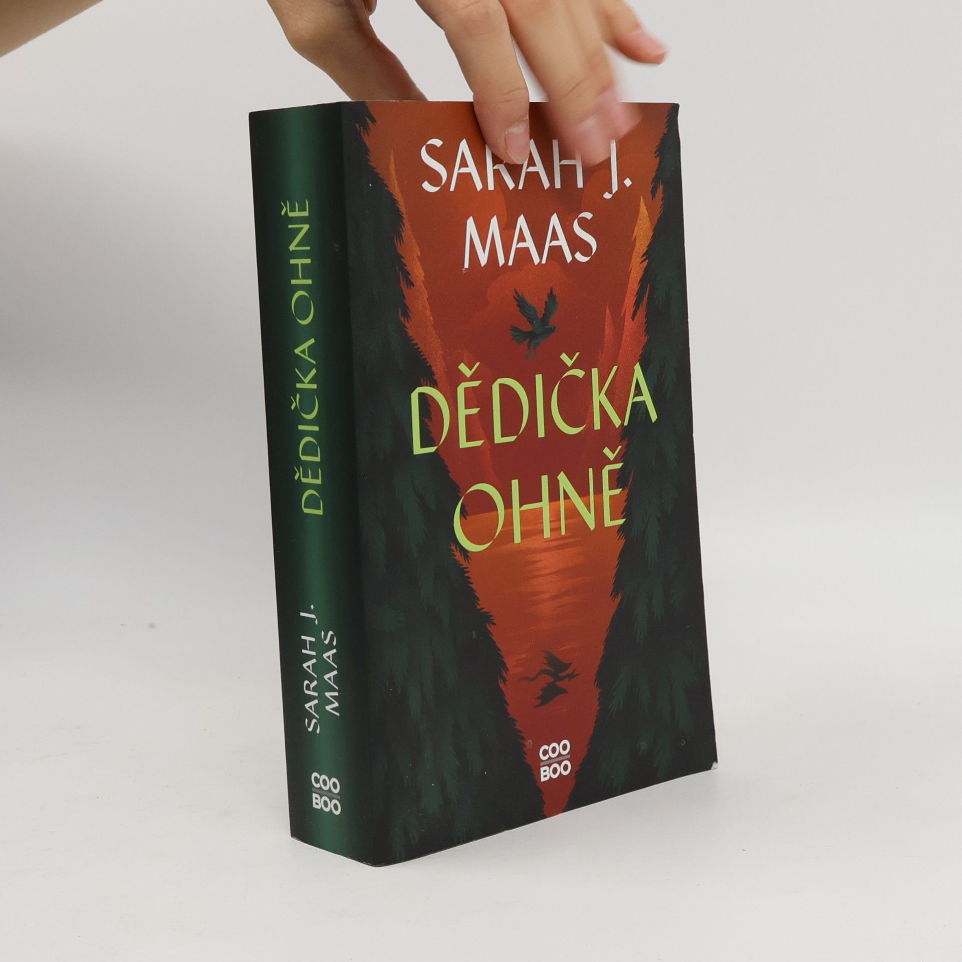 Sarah J. Maas Dědička ohně
