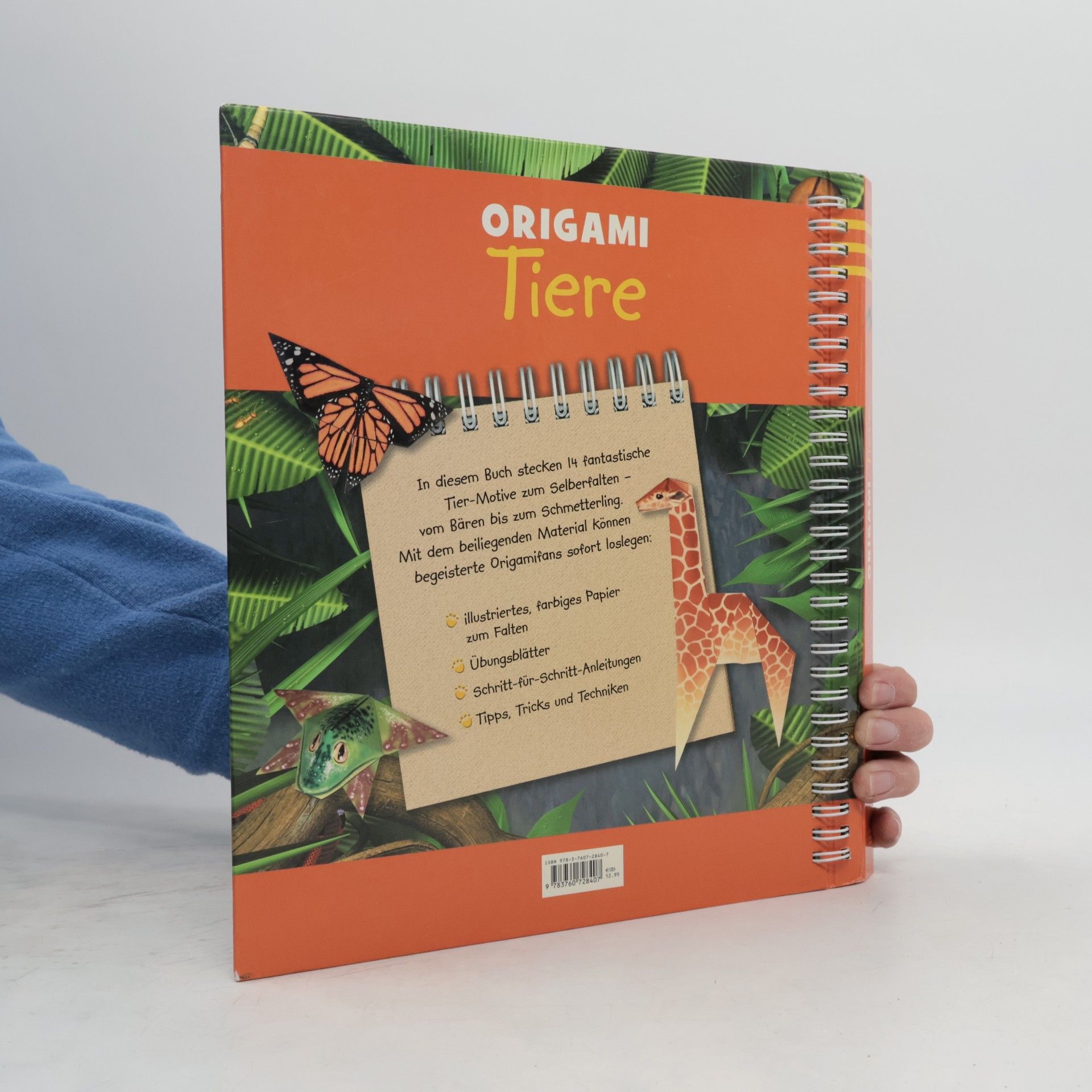 Evi Binzinger Origami Tiere