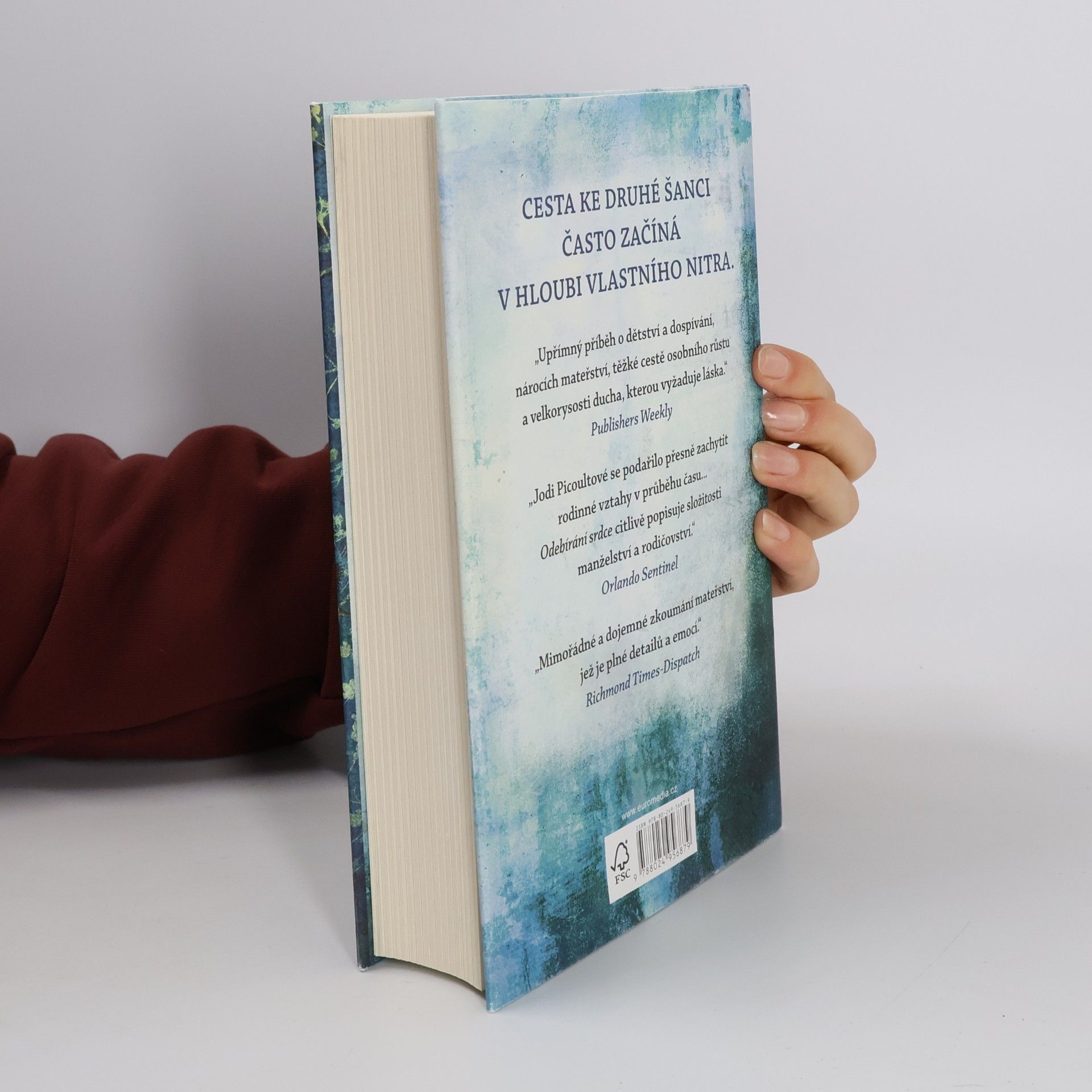 Jodi Picoult Odebírání srdce