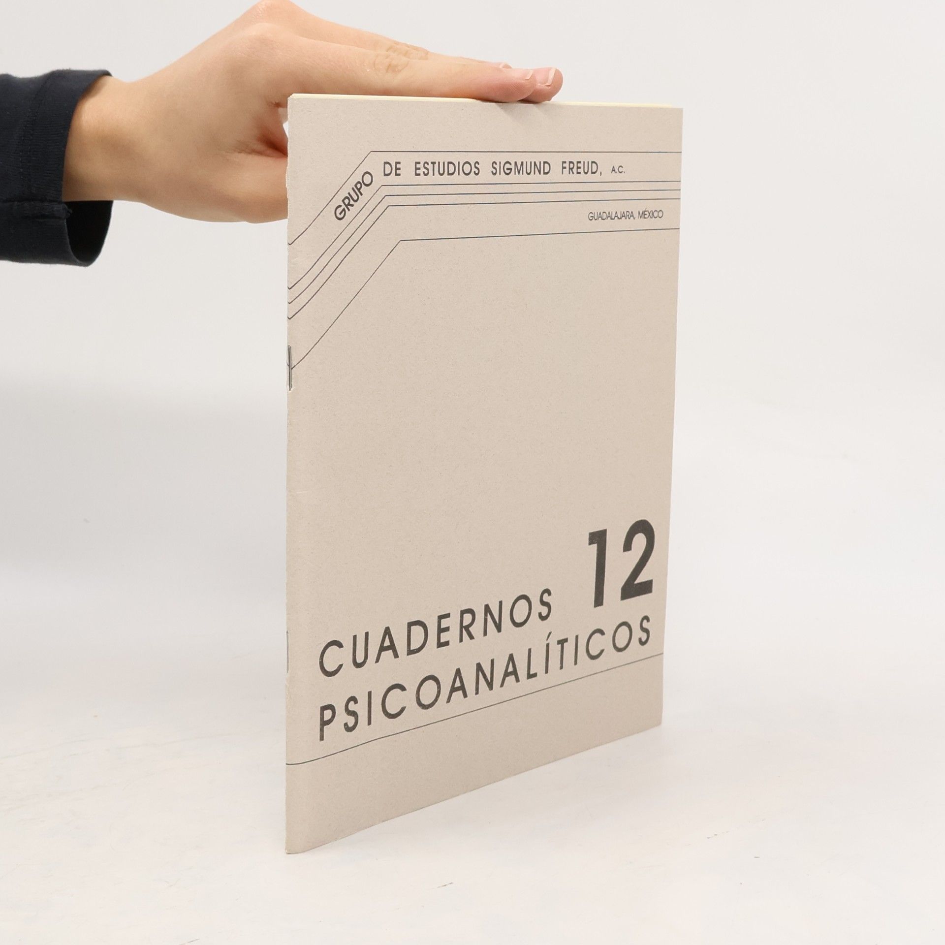 Raúl Páramo-Ortega CUADERNOS PSICOANALITICOS 2