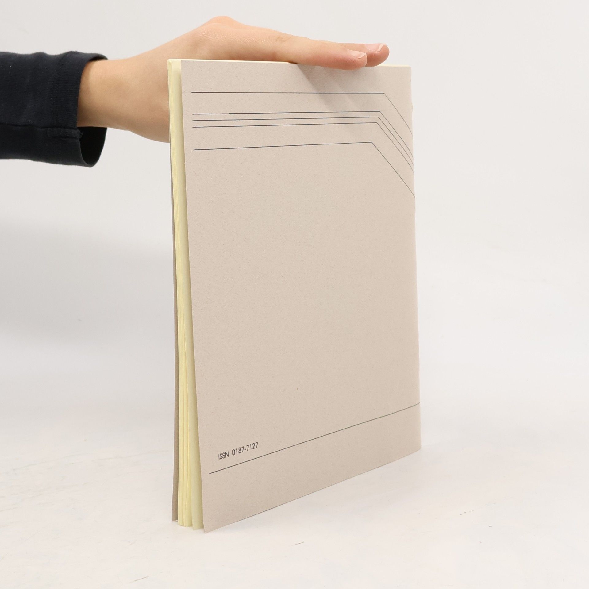 Raúl Páramo-Ortega CUADERNOS PSICOANALITICOS 2