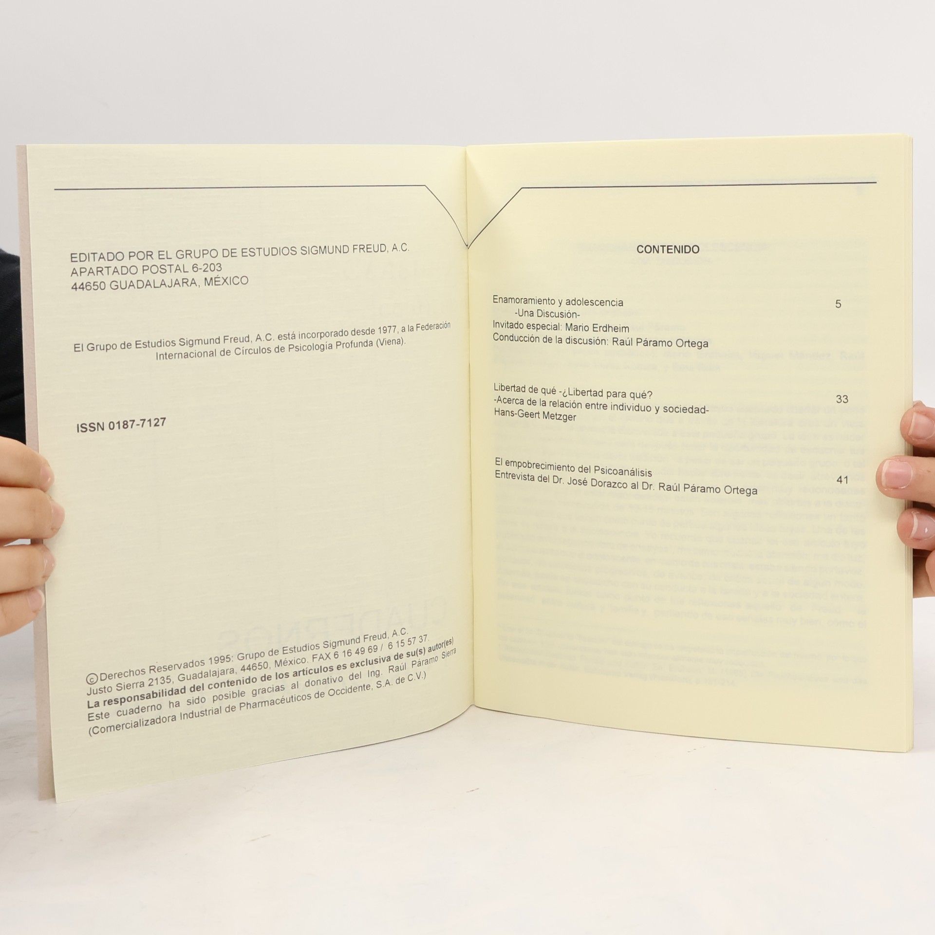 Raúl Páramo-Ortega CUADERNOS PSICOANALITICOS 2