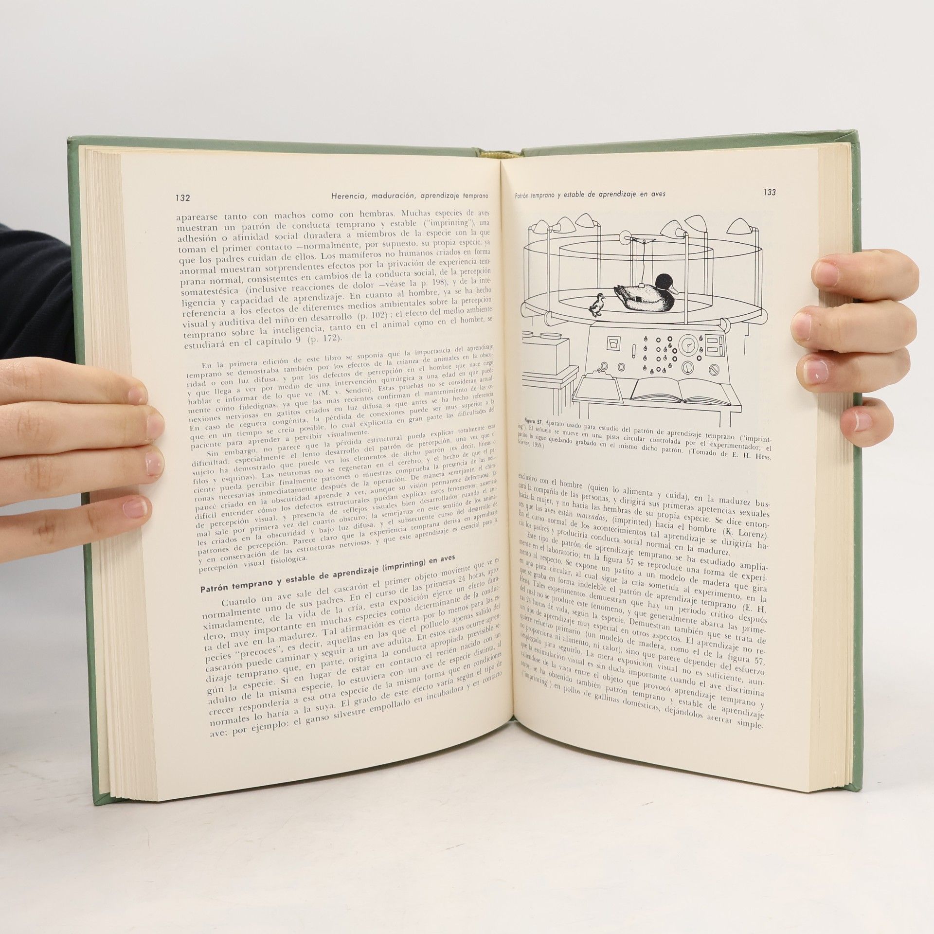 Donald O. Hebb Psicologia