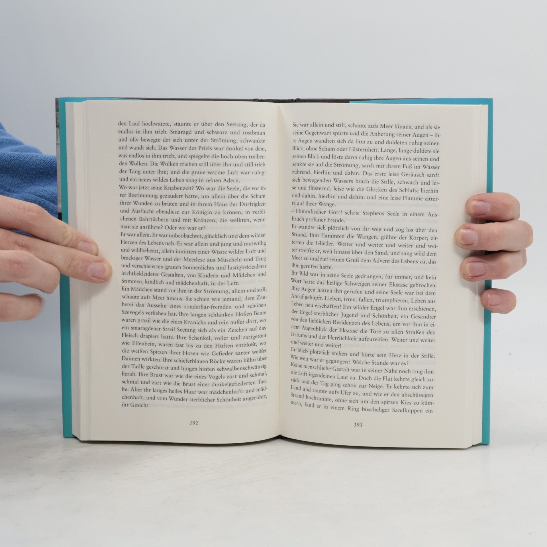 James Joyce Ein Pörtrait des Künslters als junger Mann