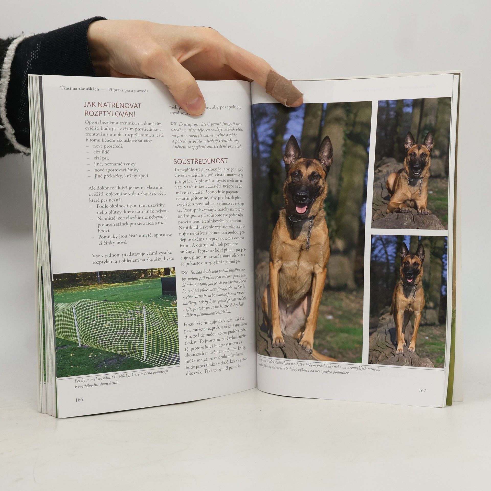 Helma Spona Obedience - Různé tréninkové metody pro jednotlivé cviky