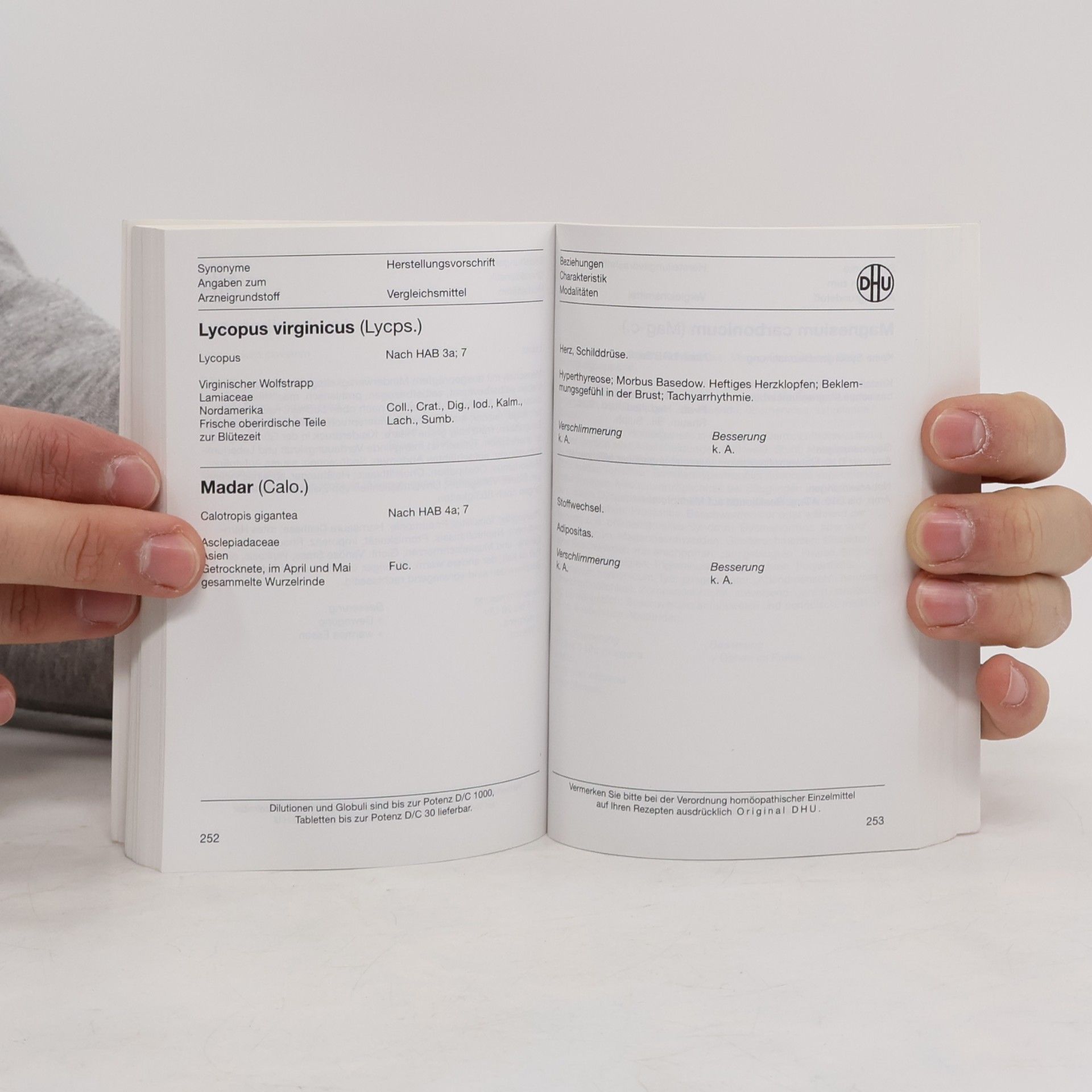 Kolektiv autorů Homöopathisches Repetitorium