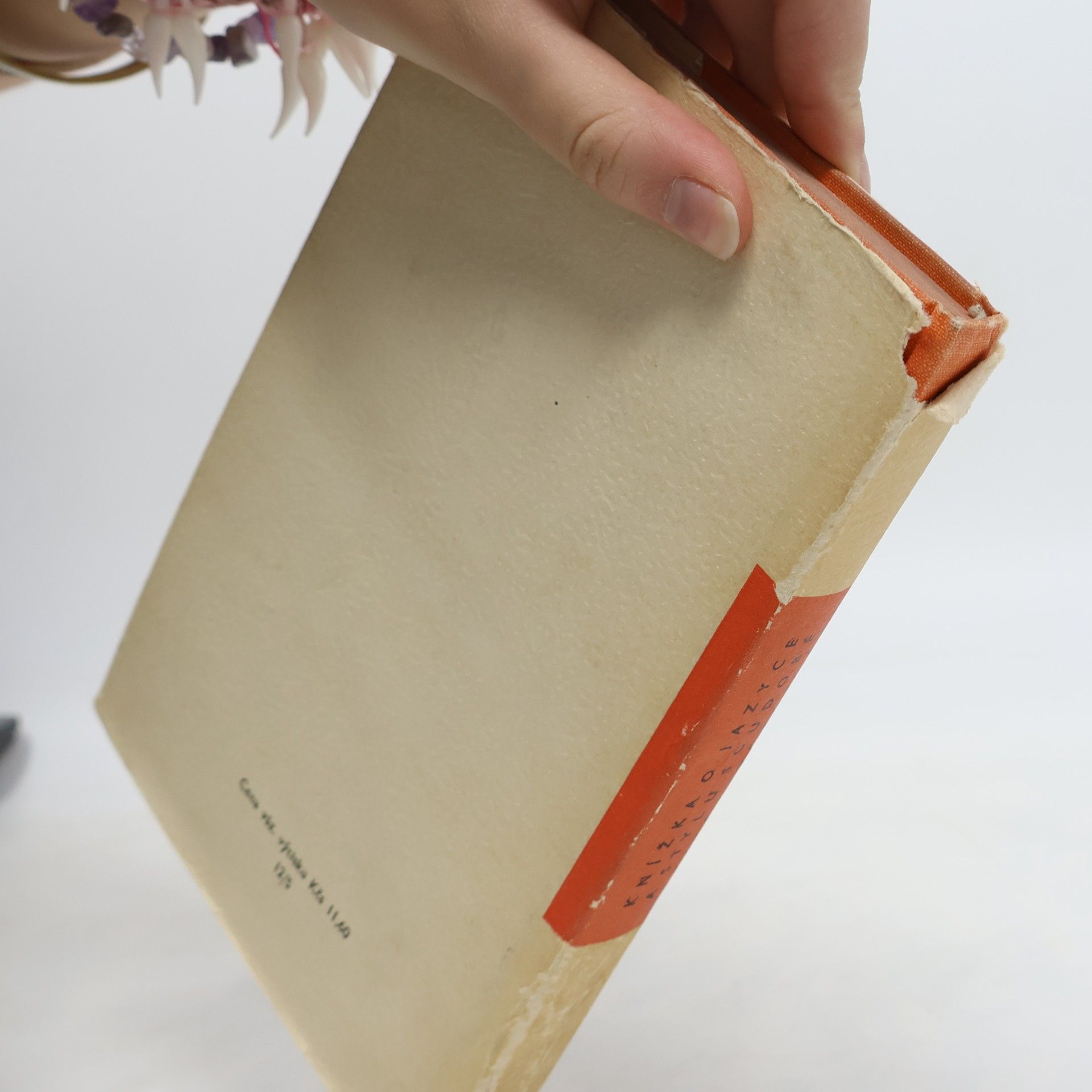 Kolektiv autorů Knížka o jazyce a stylu soudobé české literatury