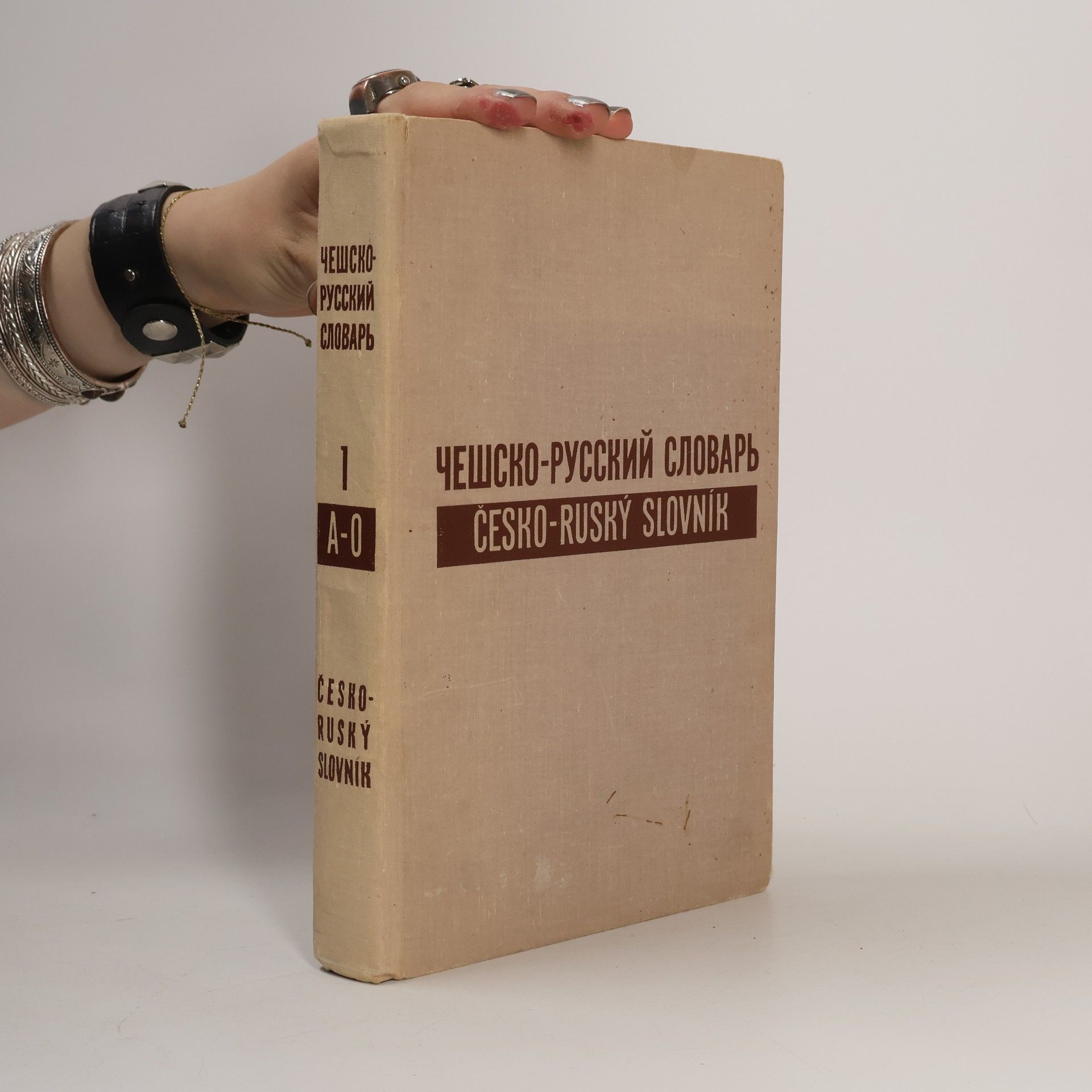 Kolektív autorov Чешско-русский словарь 1, A-O