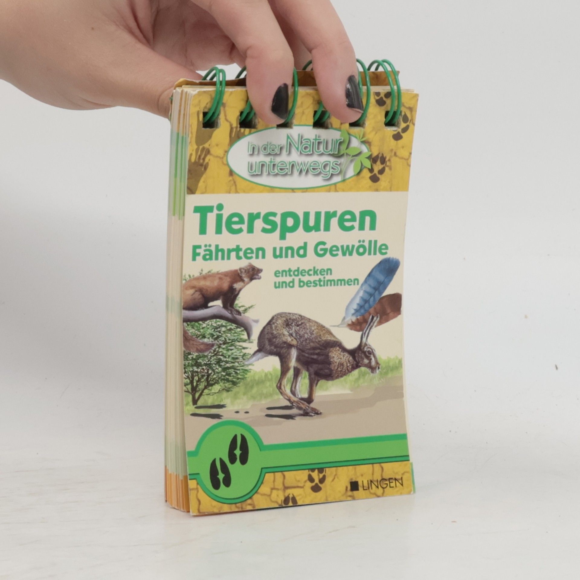 Kolektív autorov Tierspuren Fährten und Gewölle
