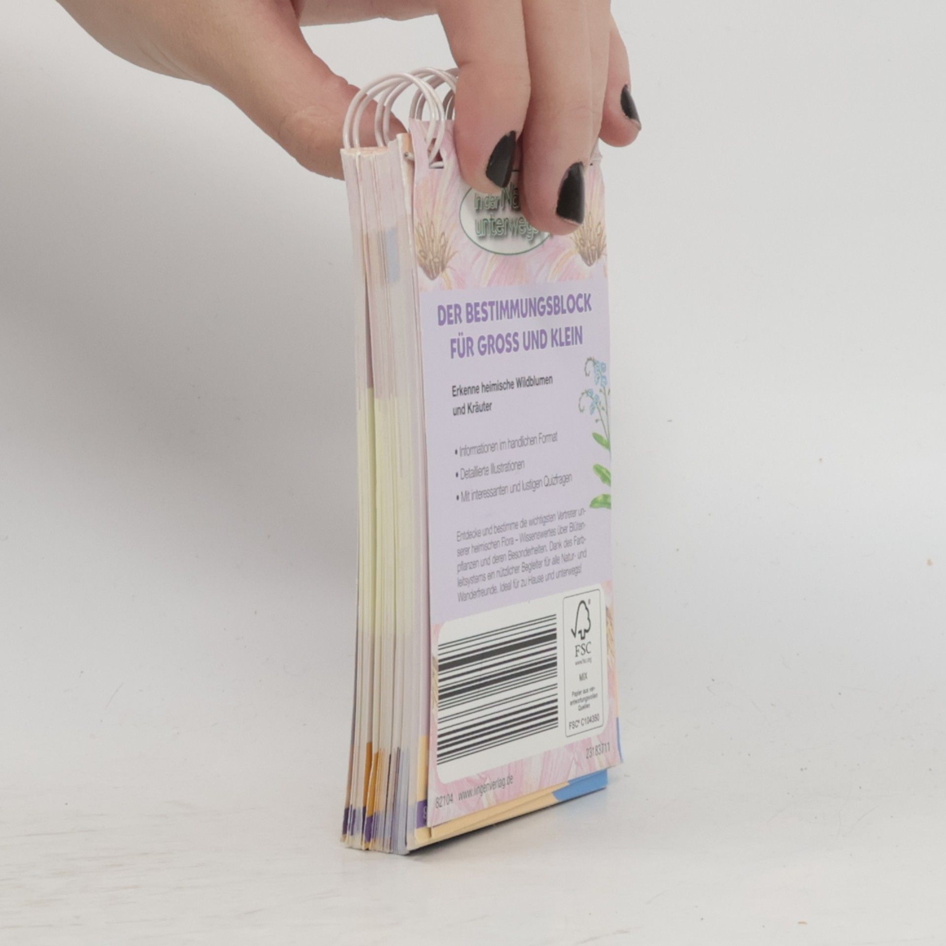 Kolektiv autorů Wildblumen und Kräuter entdecken und bestimmen