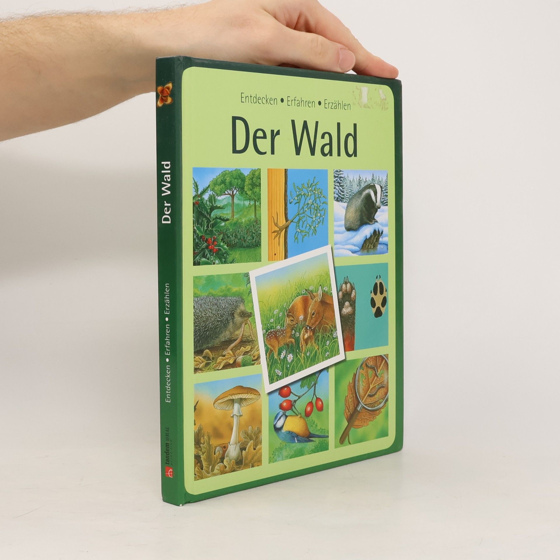 Der Wald