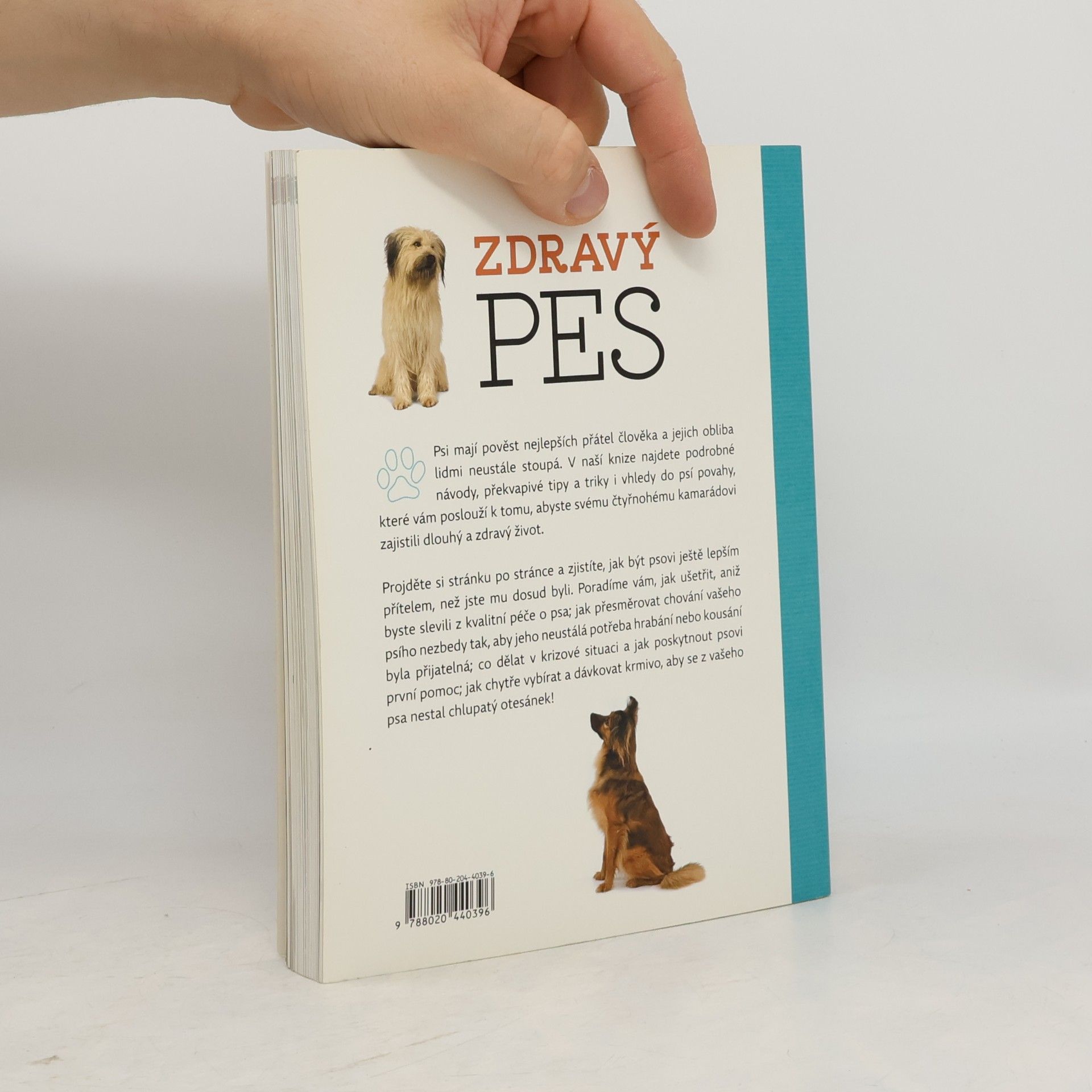 Arden Moore Zdravý pes: Tipy & triky jak zajistit vašemu psovi delší, zdravější a šťastnější život