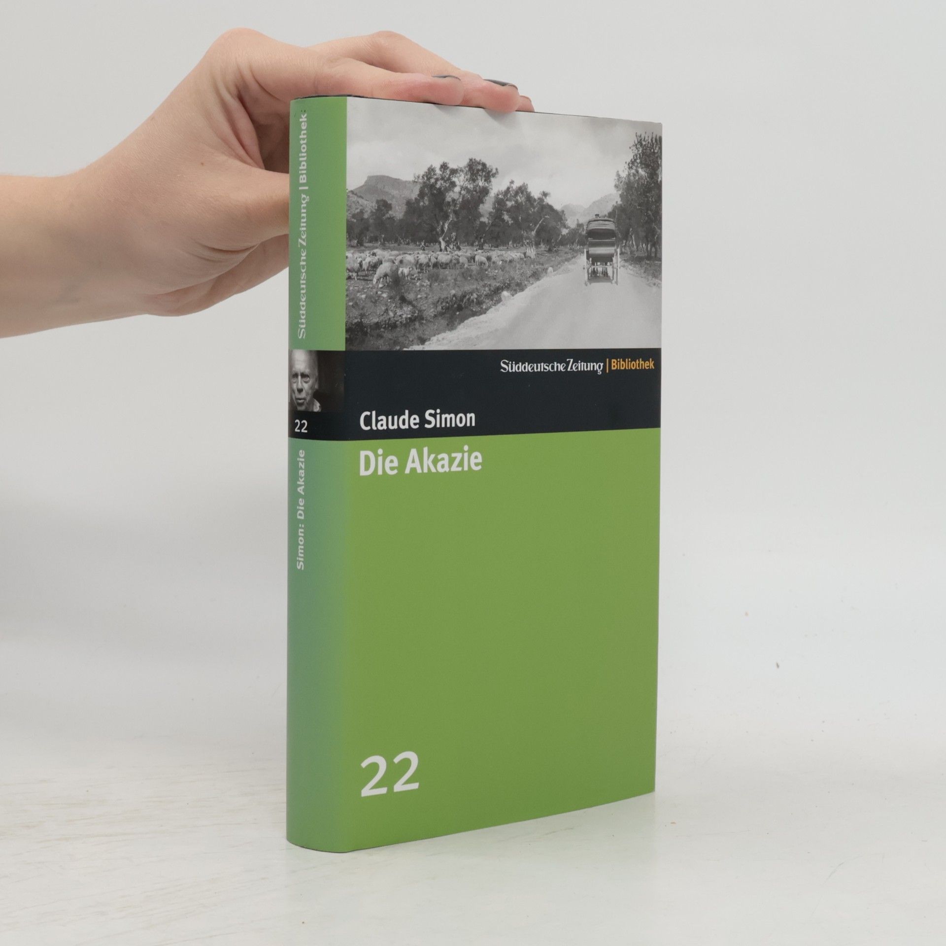 Die Akazie
