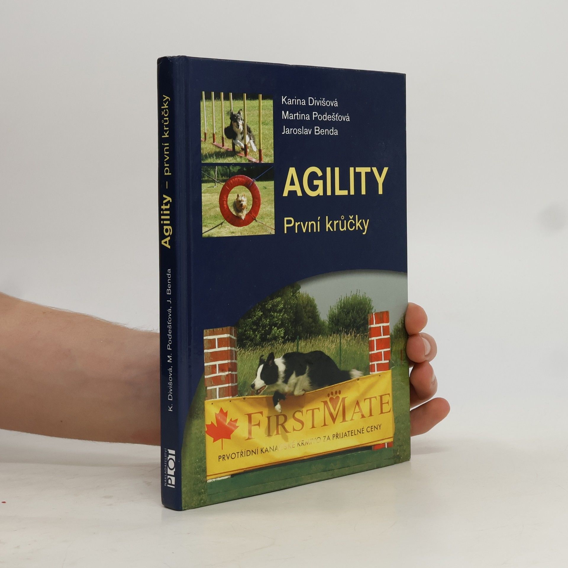 Agility: První krůčky