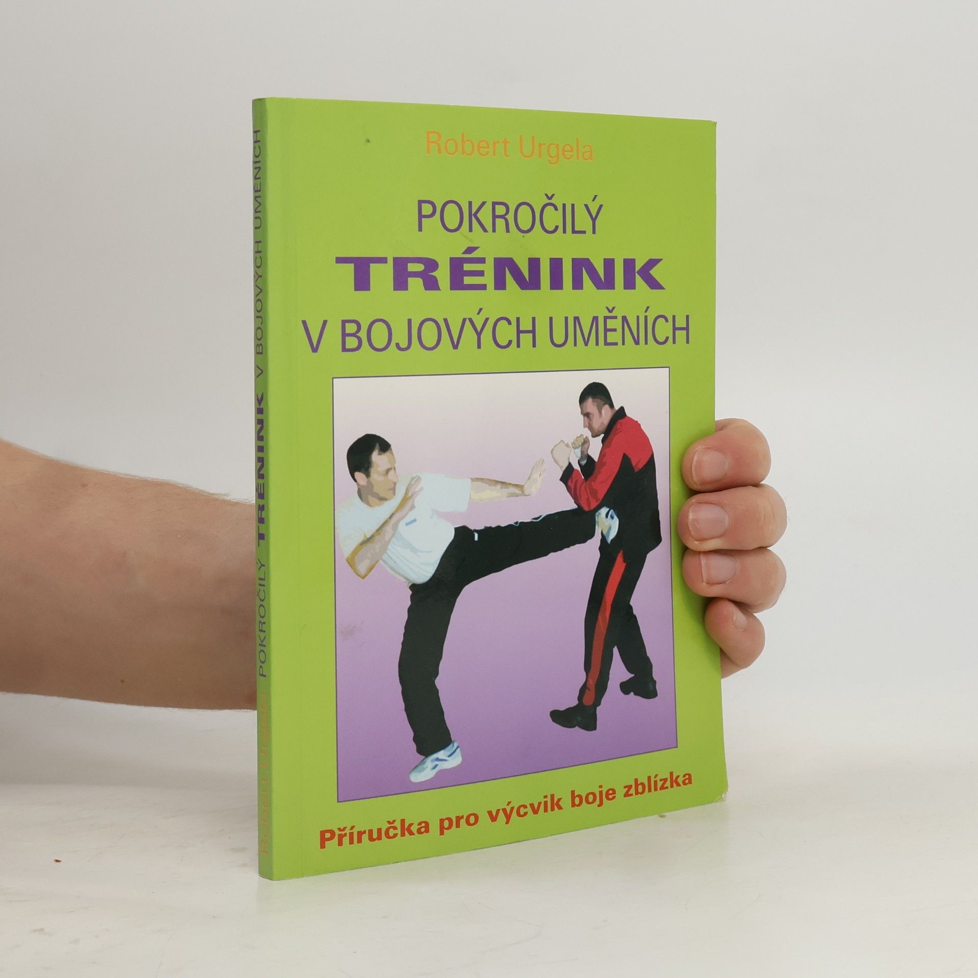 Pokročilý trénink v bojových uměních