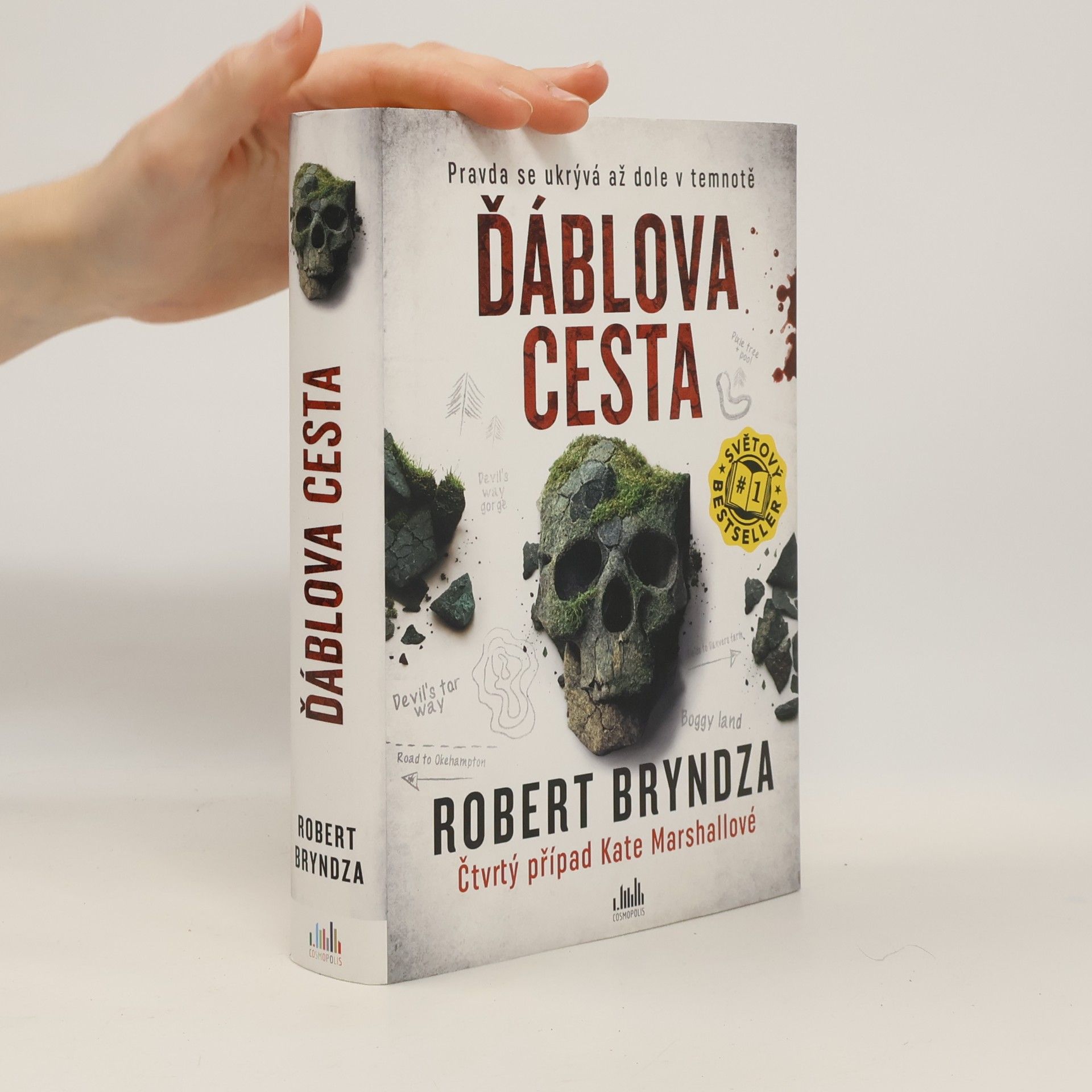 Robert Bryndza Ďáblova cesta